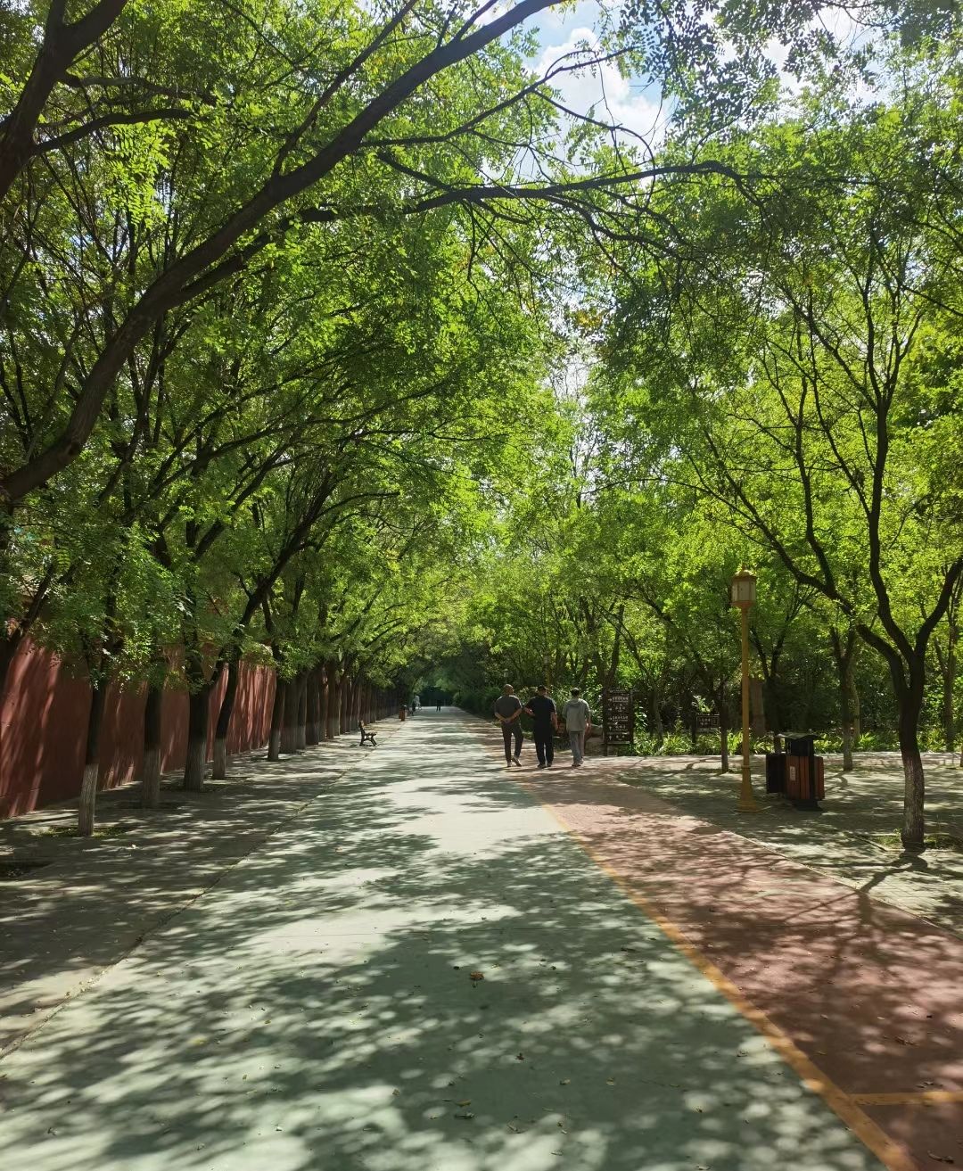 东光县铁佛寺景区旅行图片 2