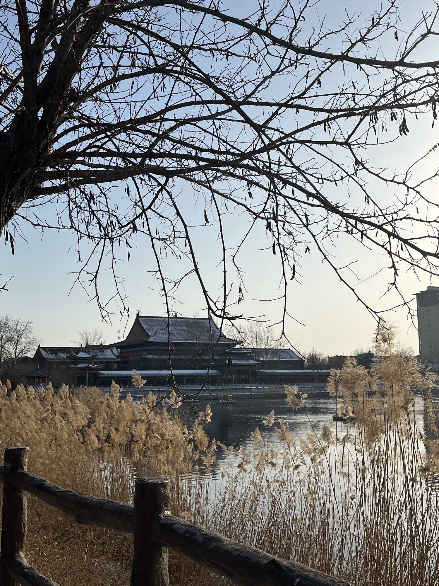 东光县铁佛寺景区旅行图片 1