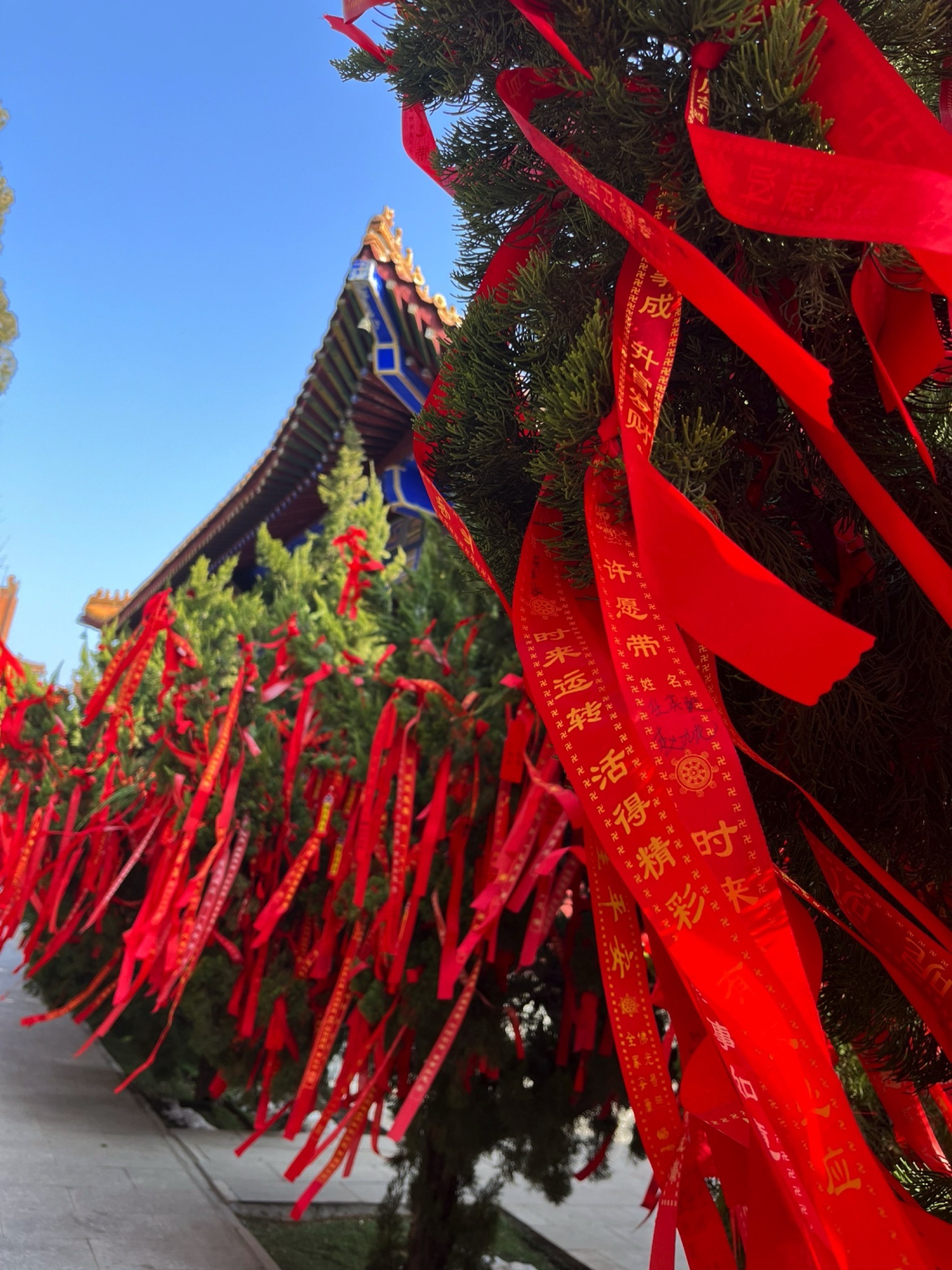 东光县铁佛寺景区旅行图片 2
