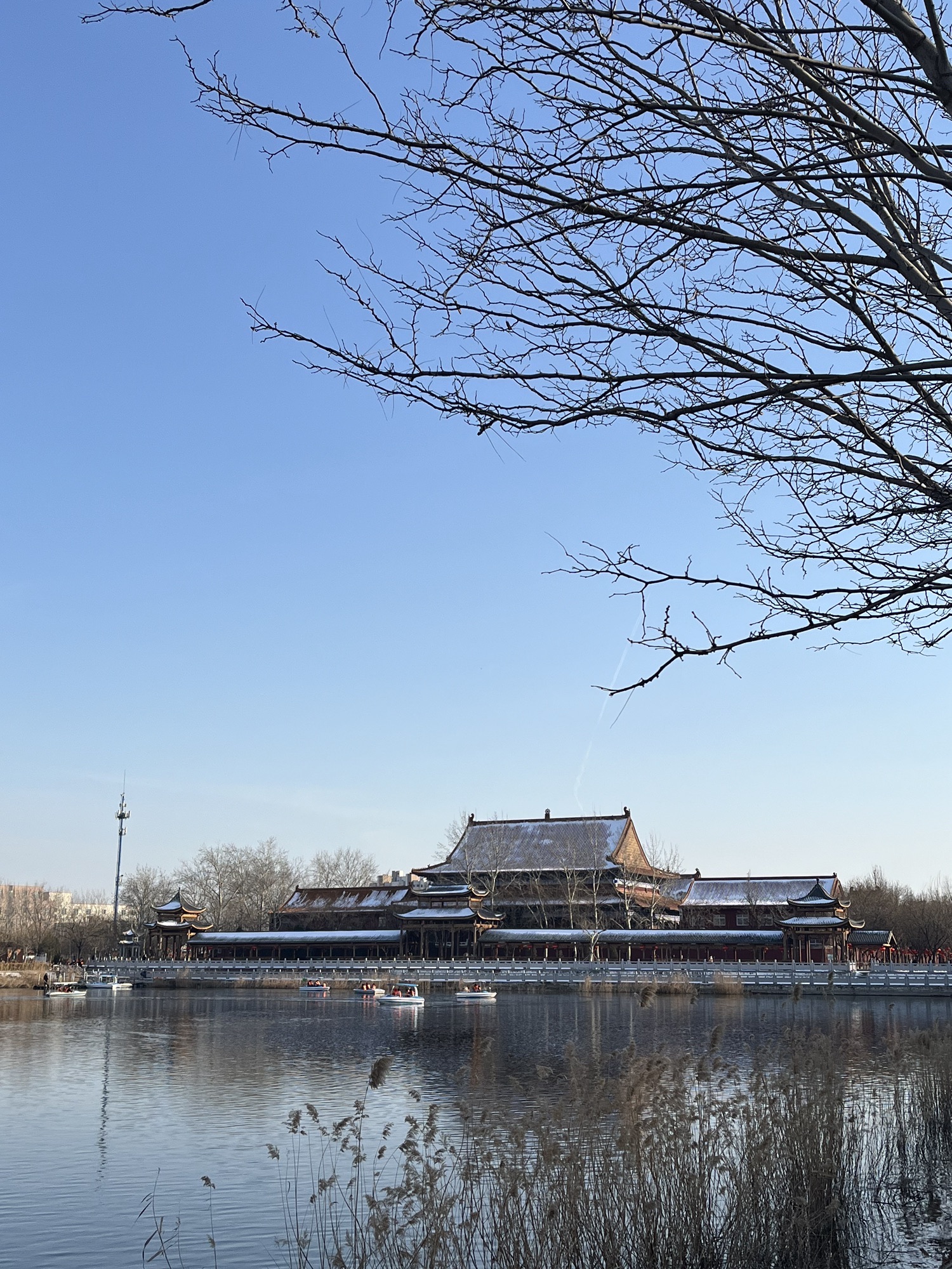 东光县铁佛寺景区旅行图片 3