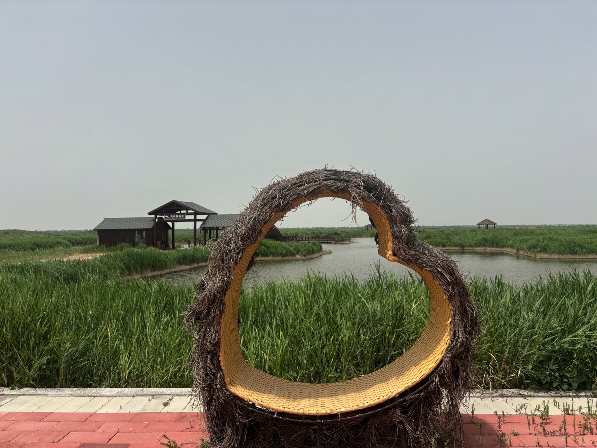 南大港湿地自然保护区旅行图片 1
