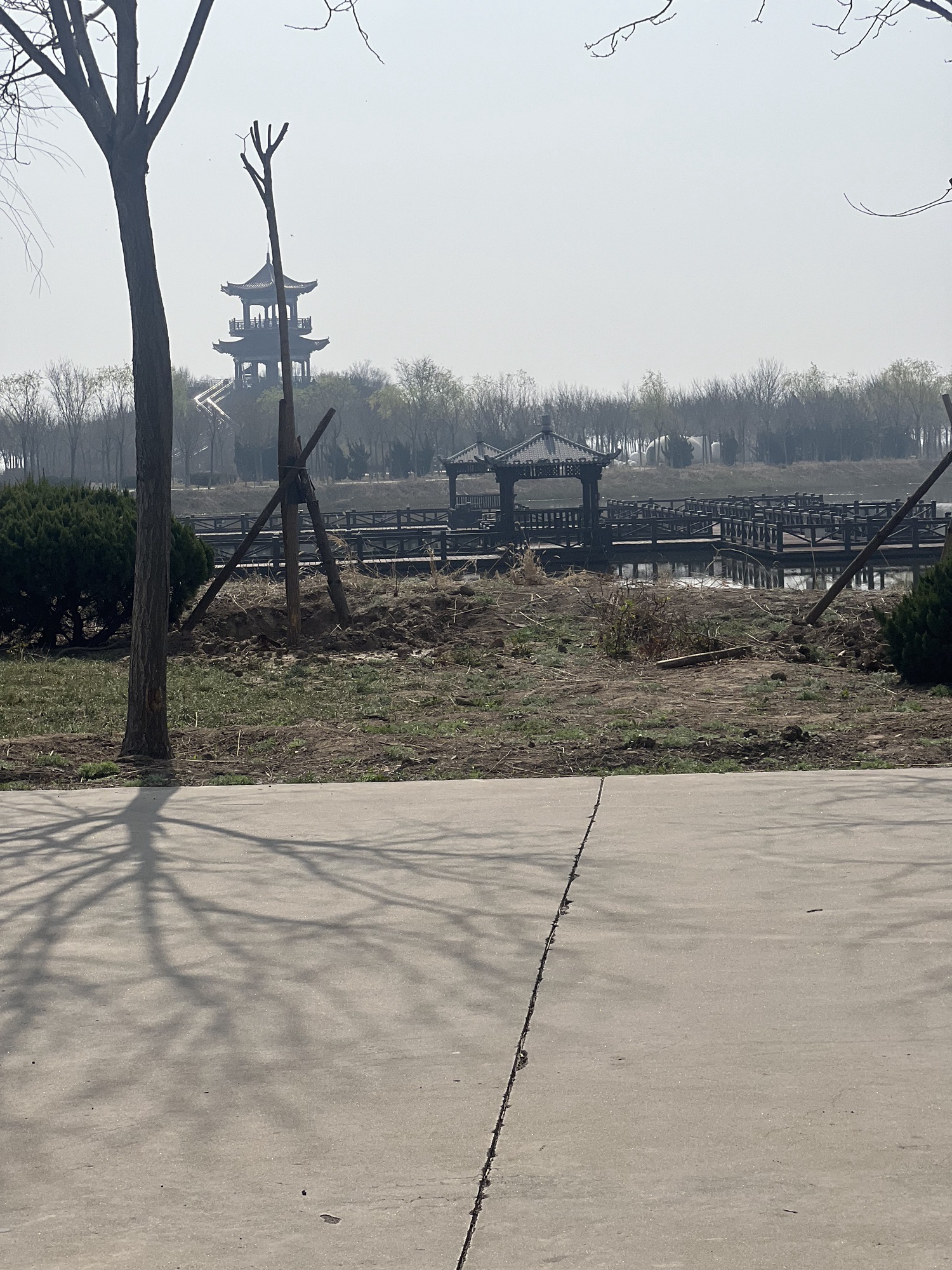 南大港湿地自然保护区旅行图片 2