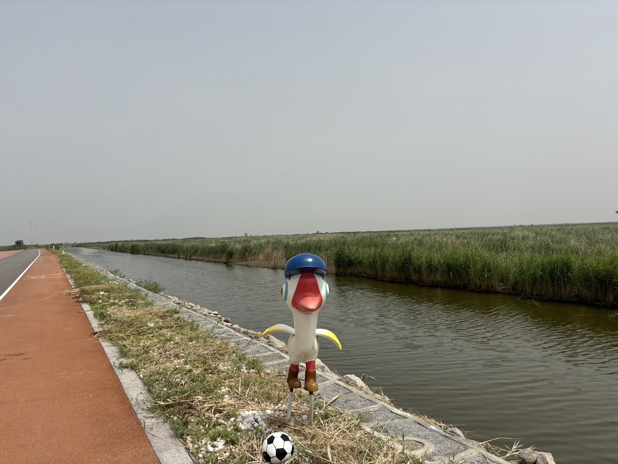 南大港湿地自然保护区旅行图片 2