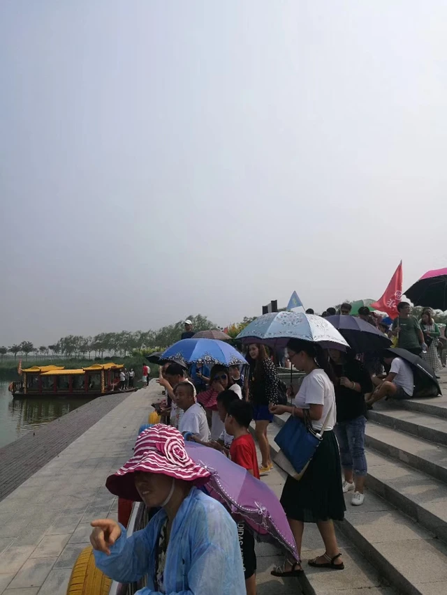 南大港湿地自然保护区旅行图片 3