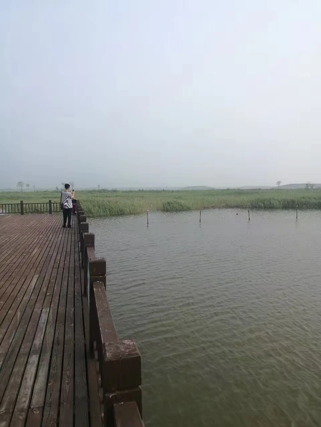 南大港湿地自然保护区旅行图片 1