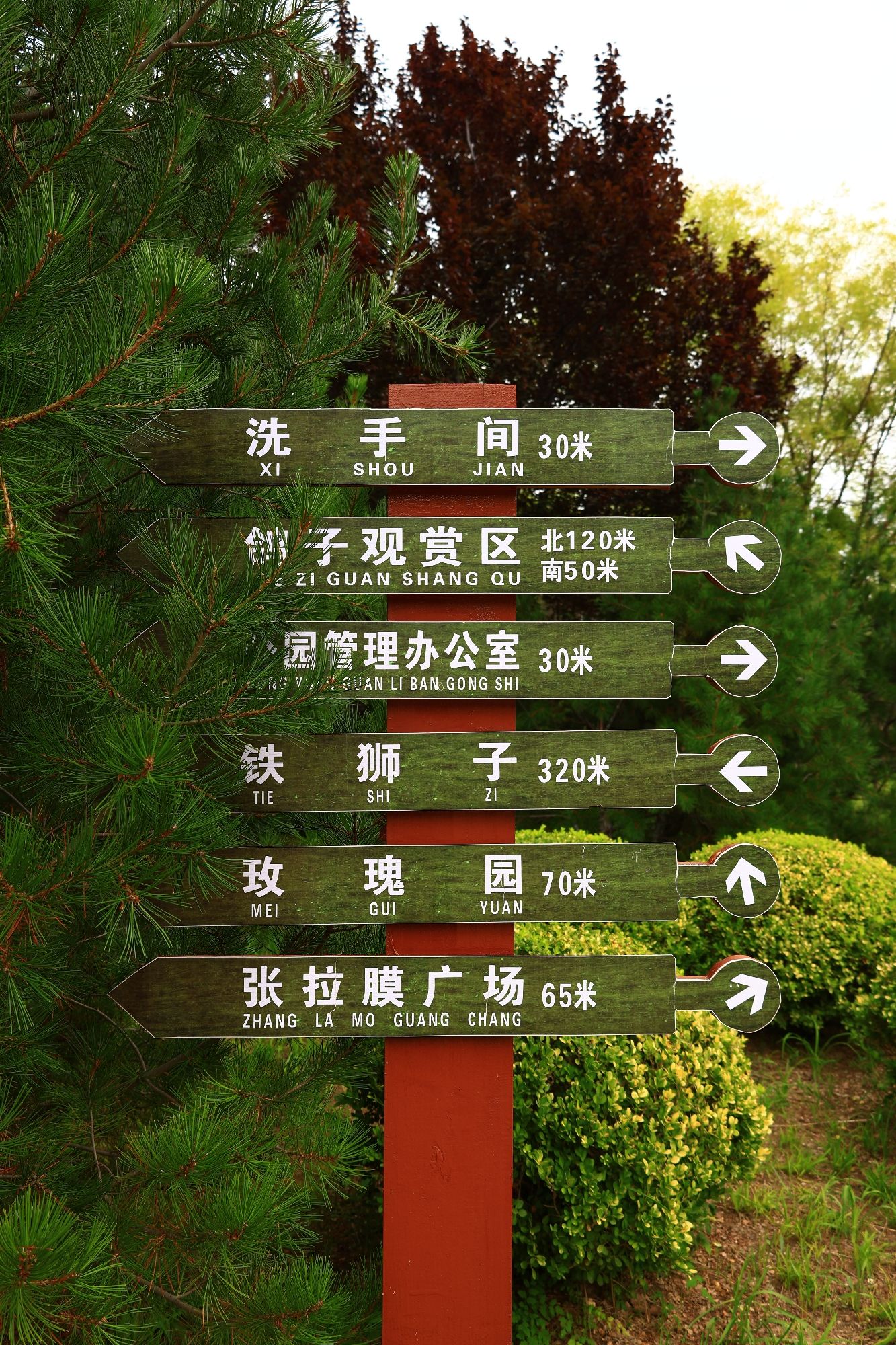 狮城公园旅行图片 3