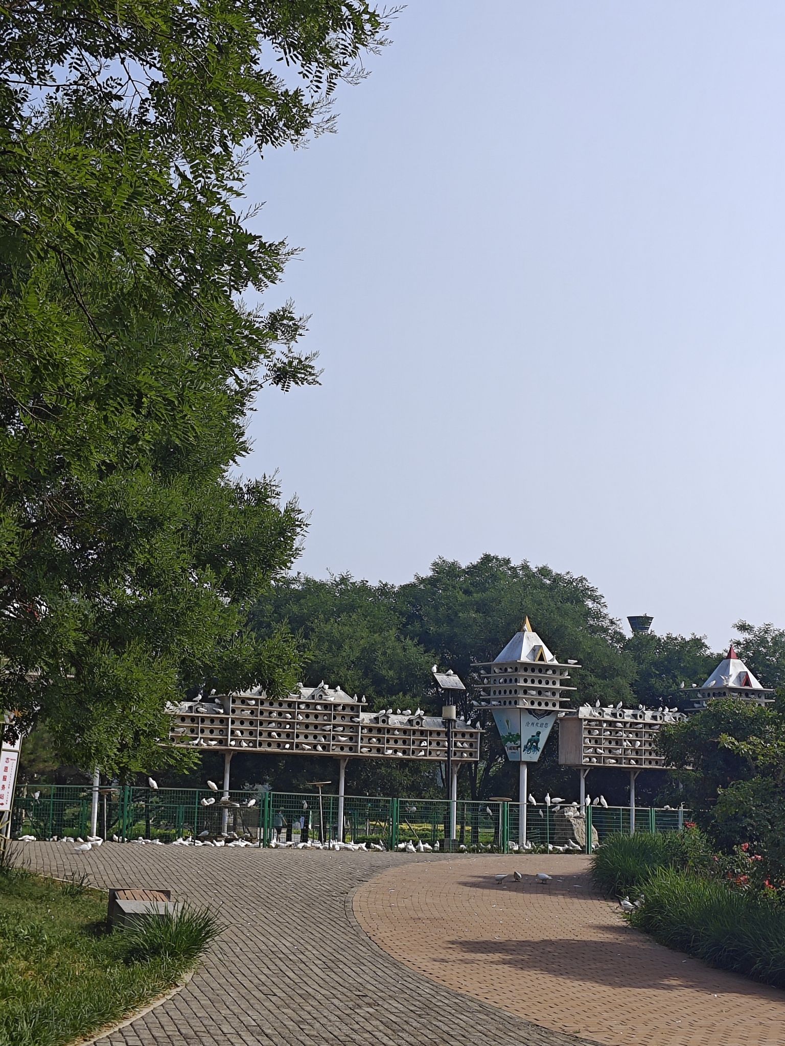 狮城公园旅行图片 3