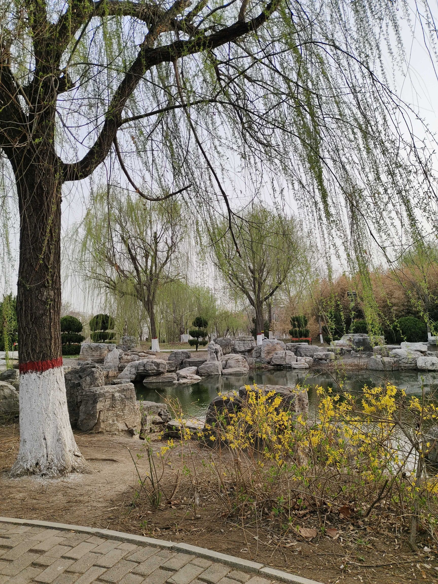 狮城公园旅行图片 2