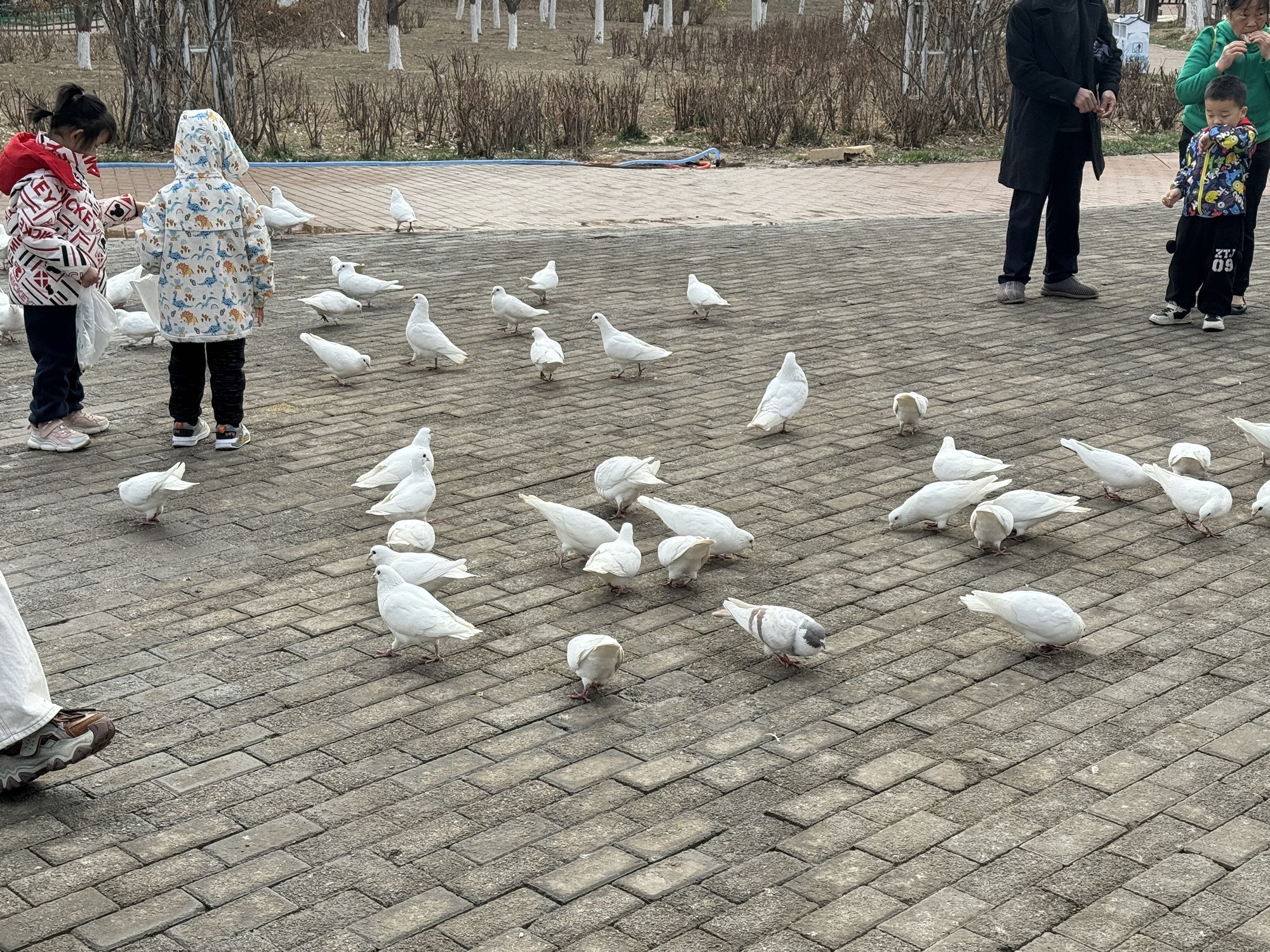 狮城公园旅行图片 1