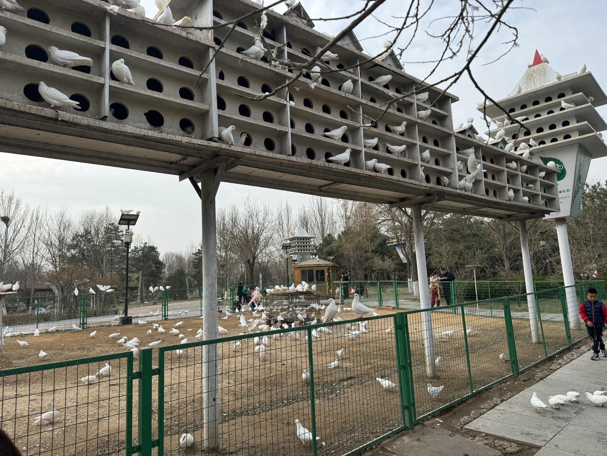 狮城公园旅行图片 2