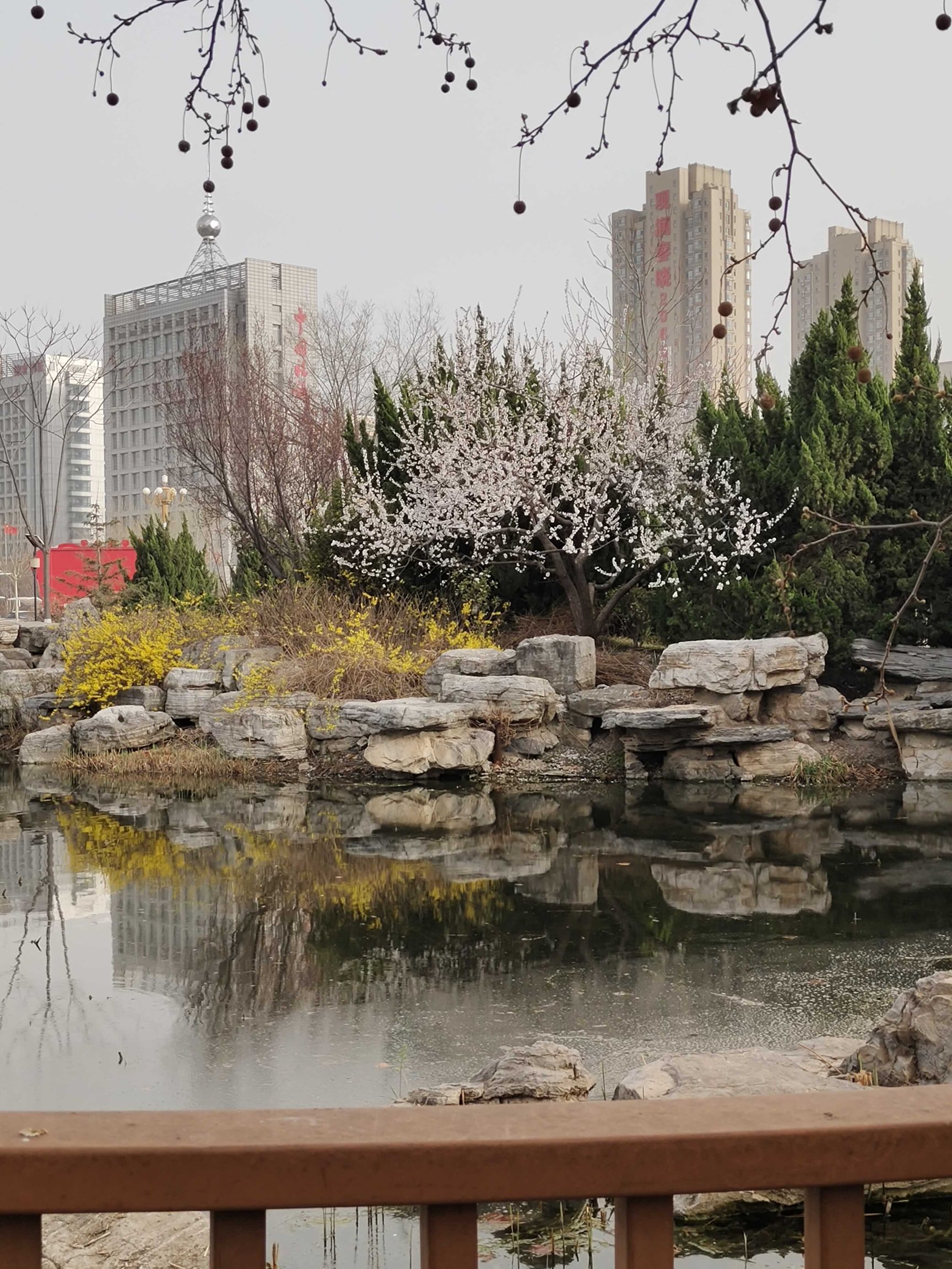 狮城公园旅行图片 3