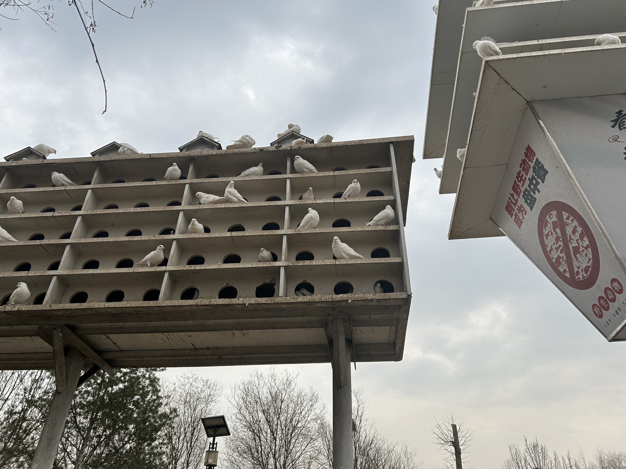 狮城公园旅行图片 3