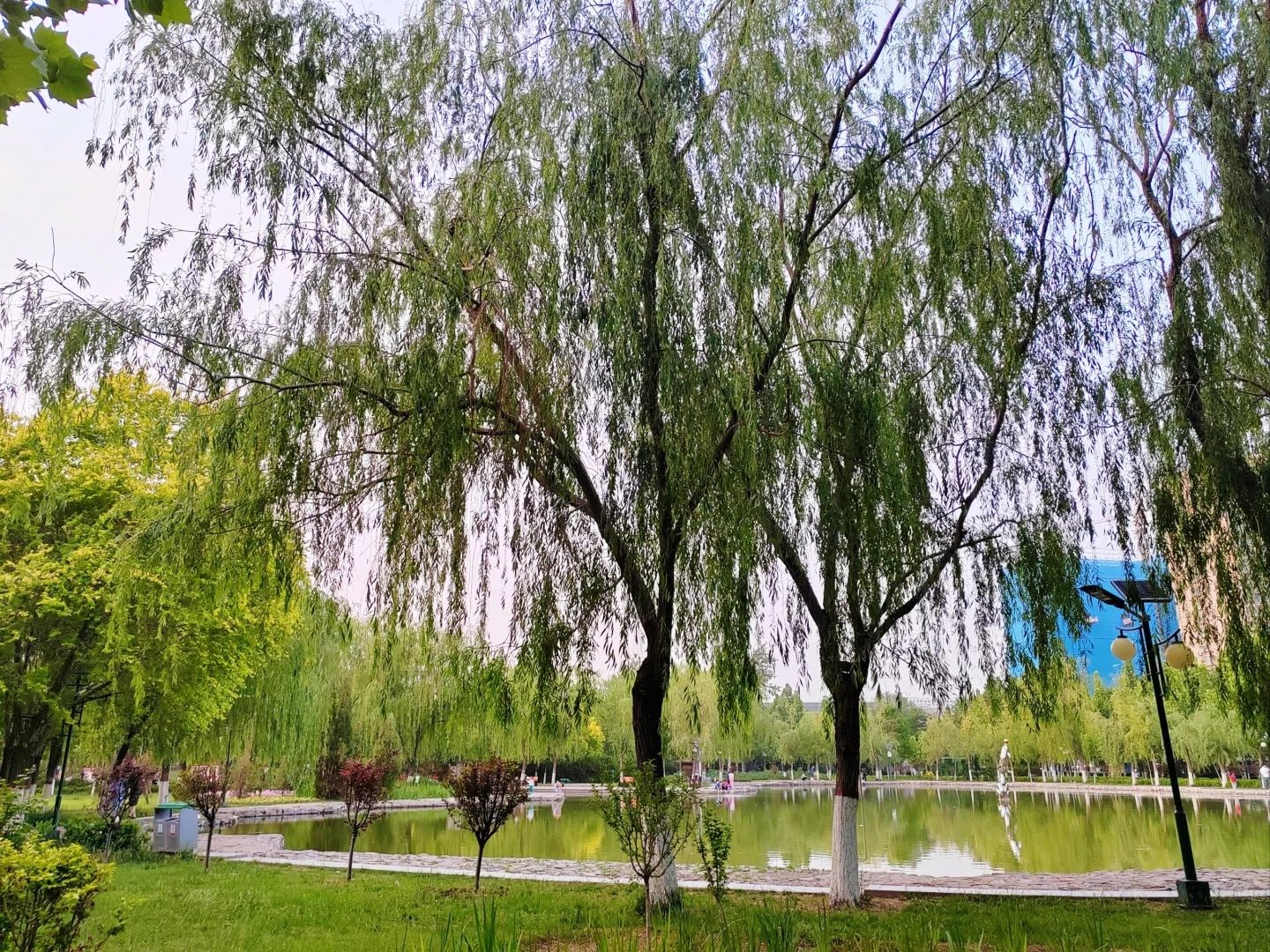 元曲公园旅行图片 2