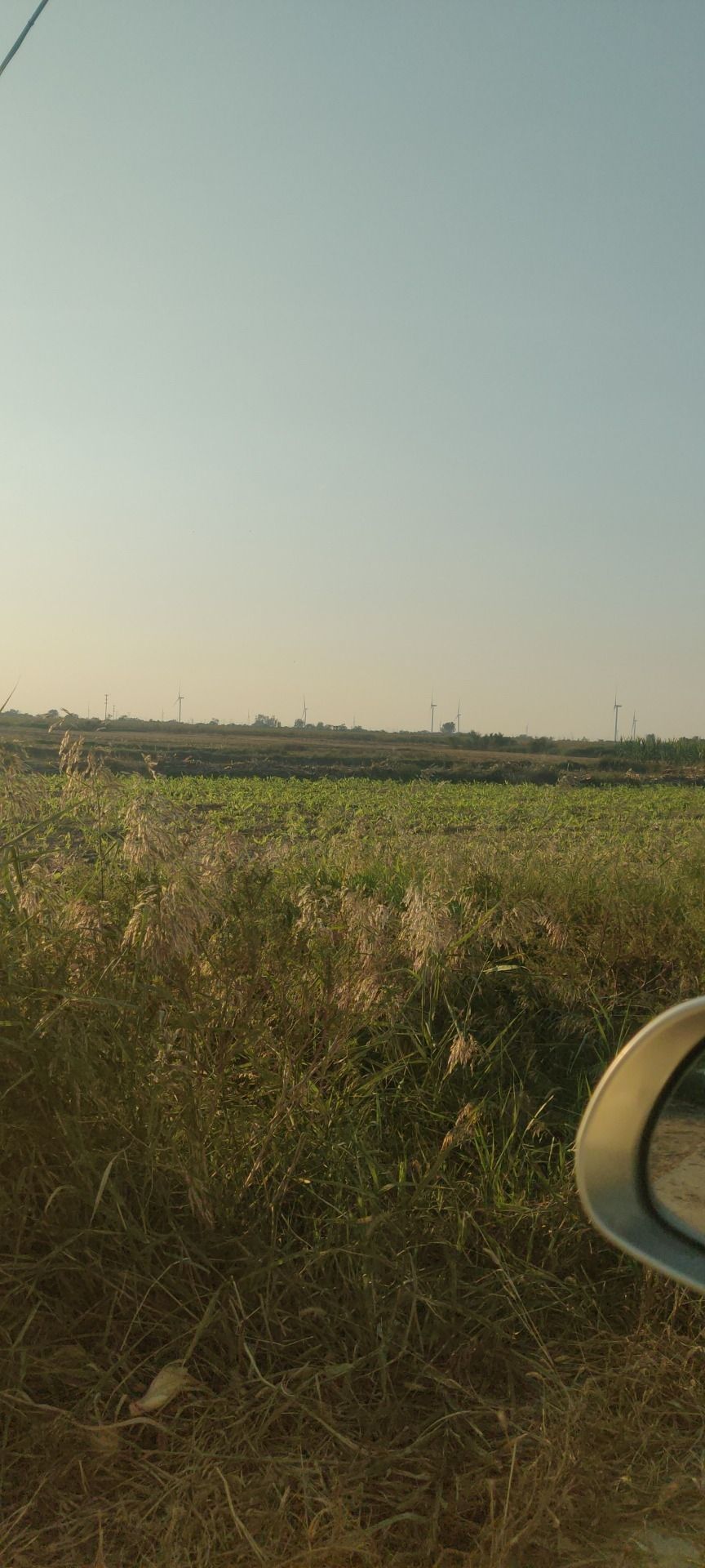 西汉章武县遗址旅行图片