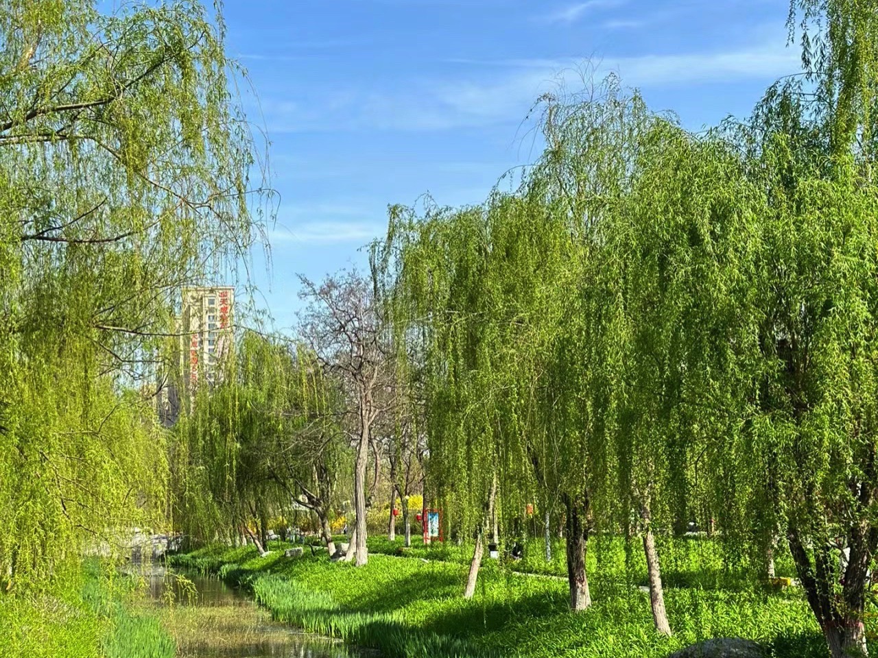 千童公园旅行图片 2