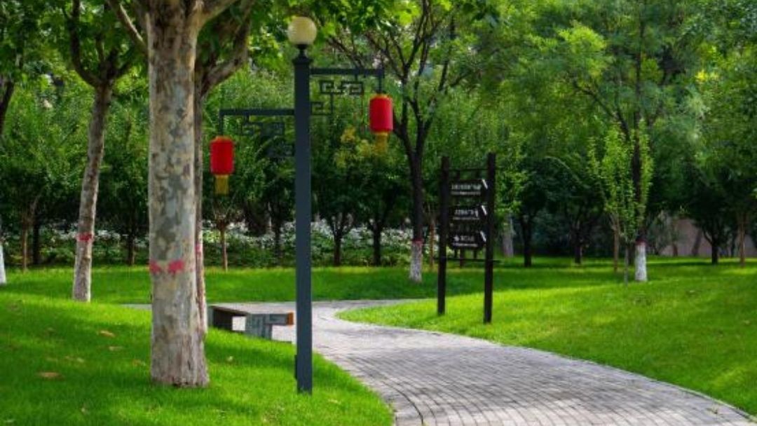 千童公园旅行图片 1