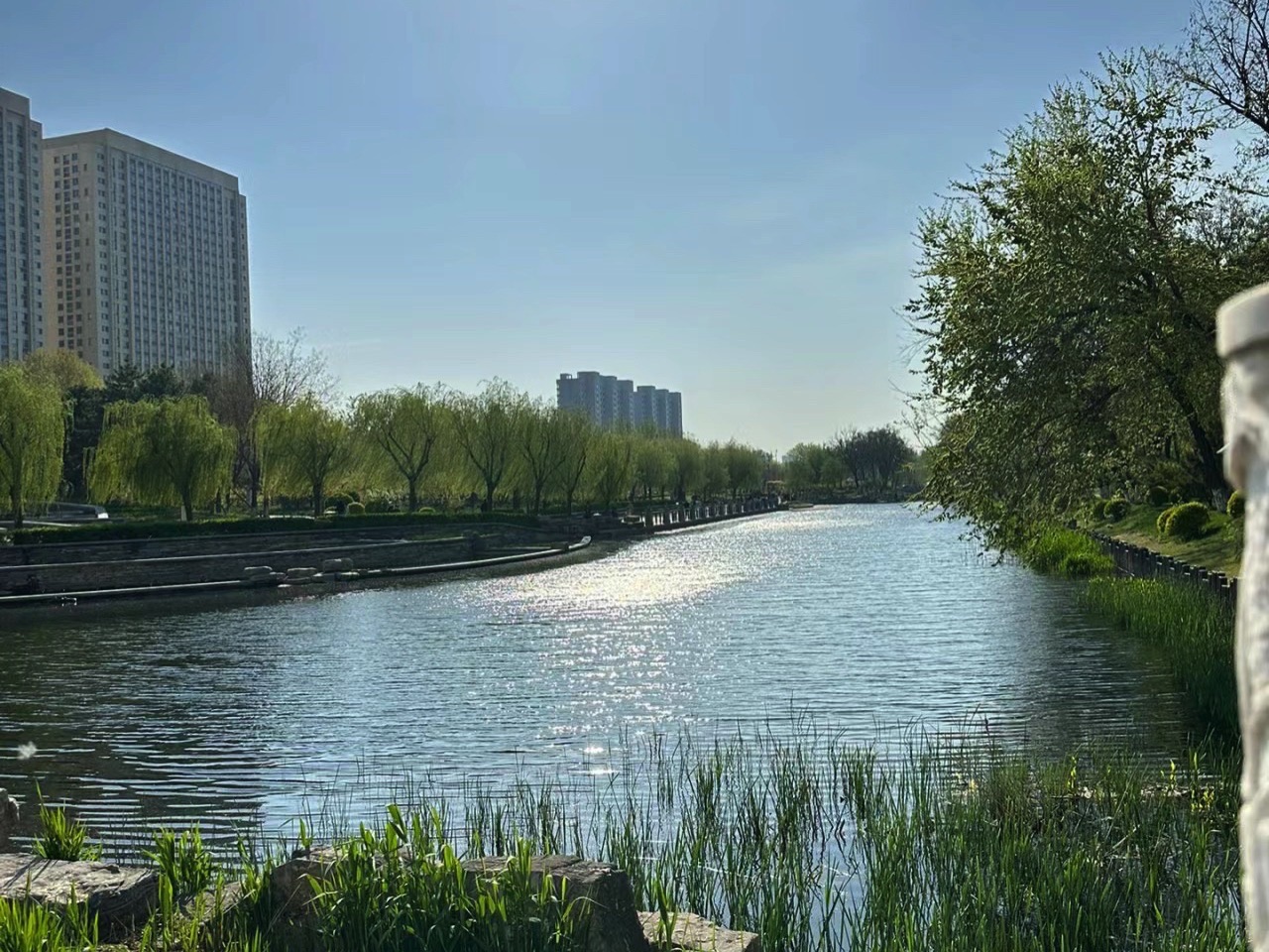 千童公园旅行图片 3