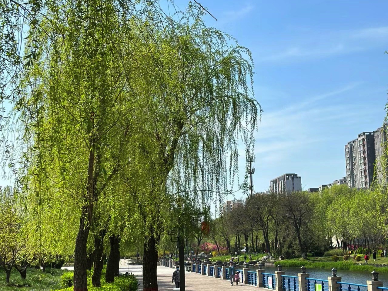 千童公园旅行图片 1