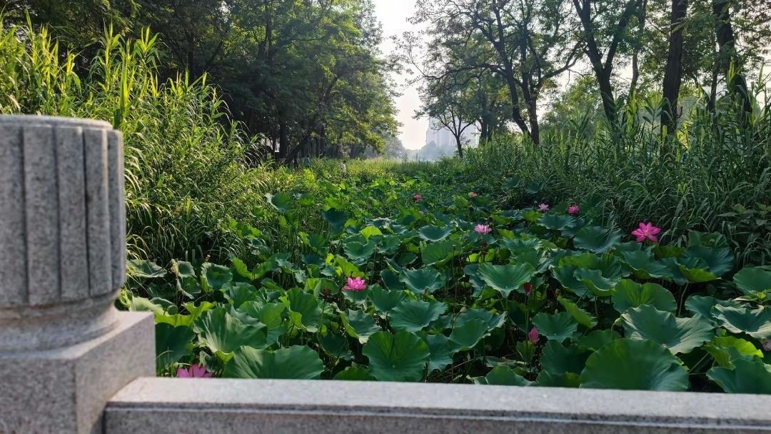 千童公园旅行图片 2