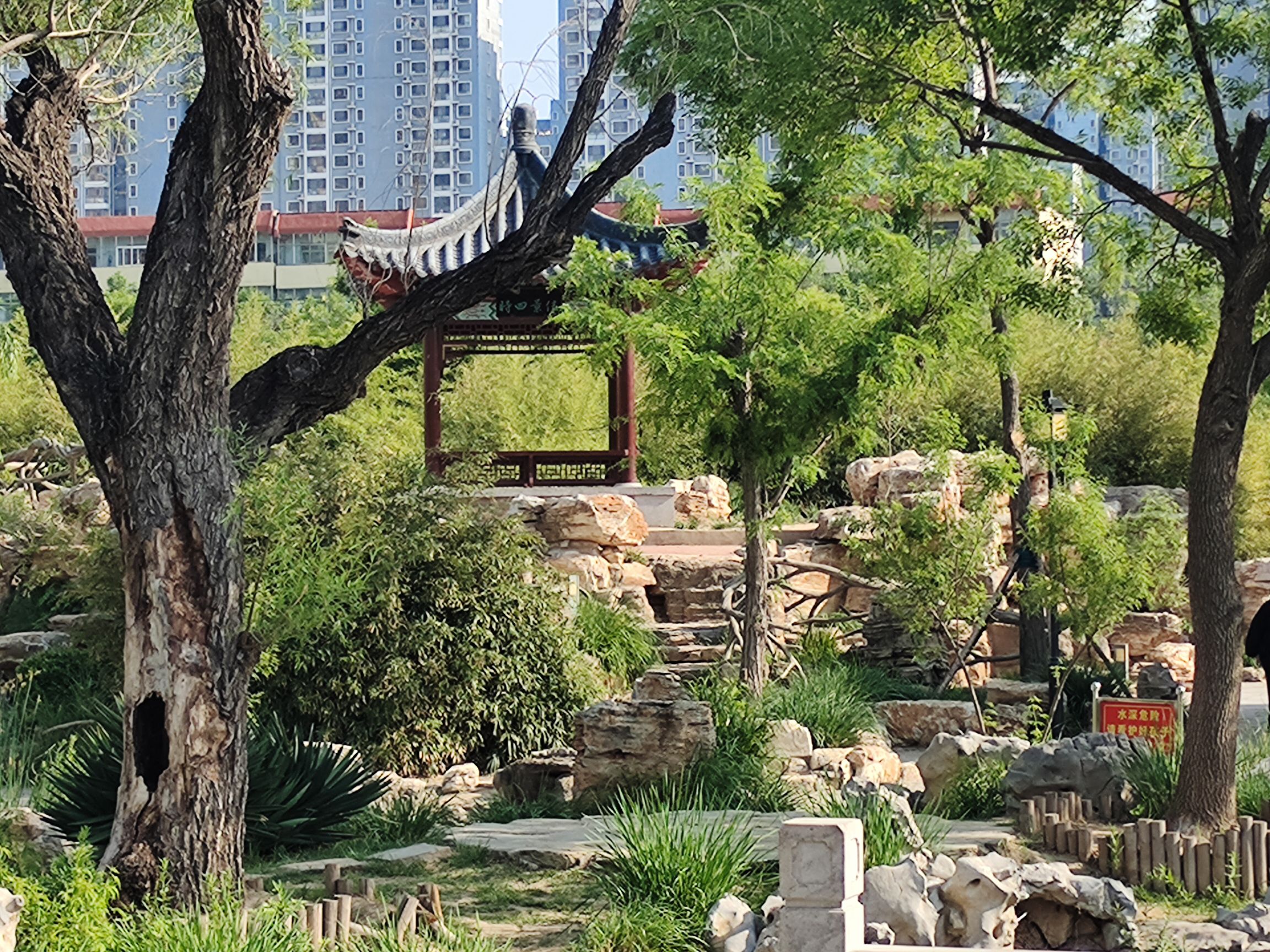 人民公园旅行图片 1