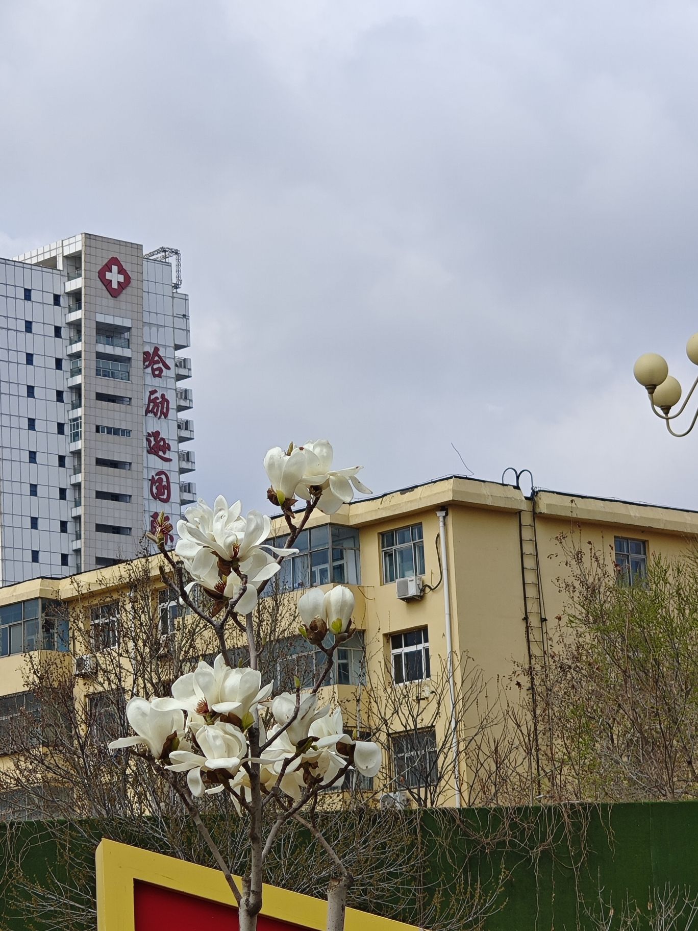 人民公园旅行图片 2