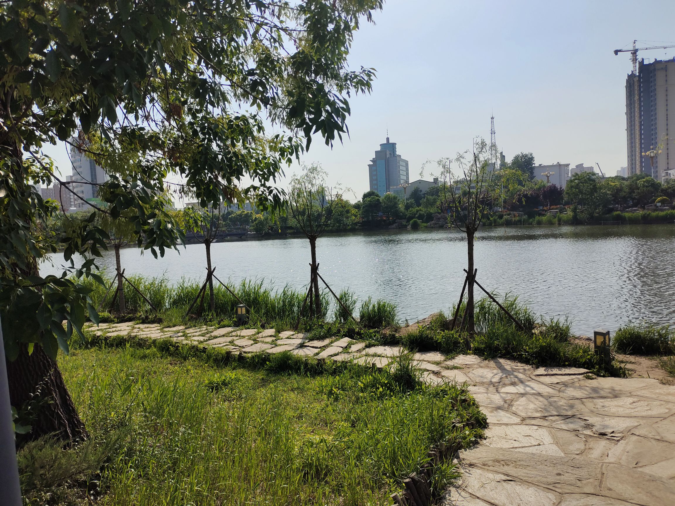 人民公园旅行图片 3