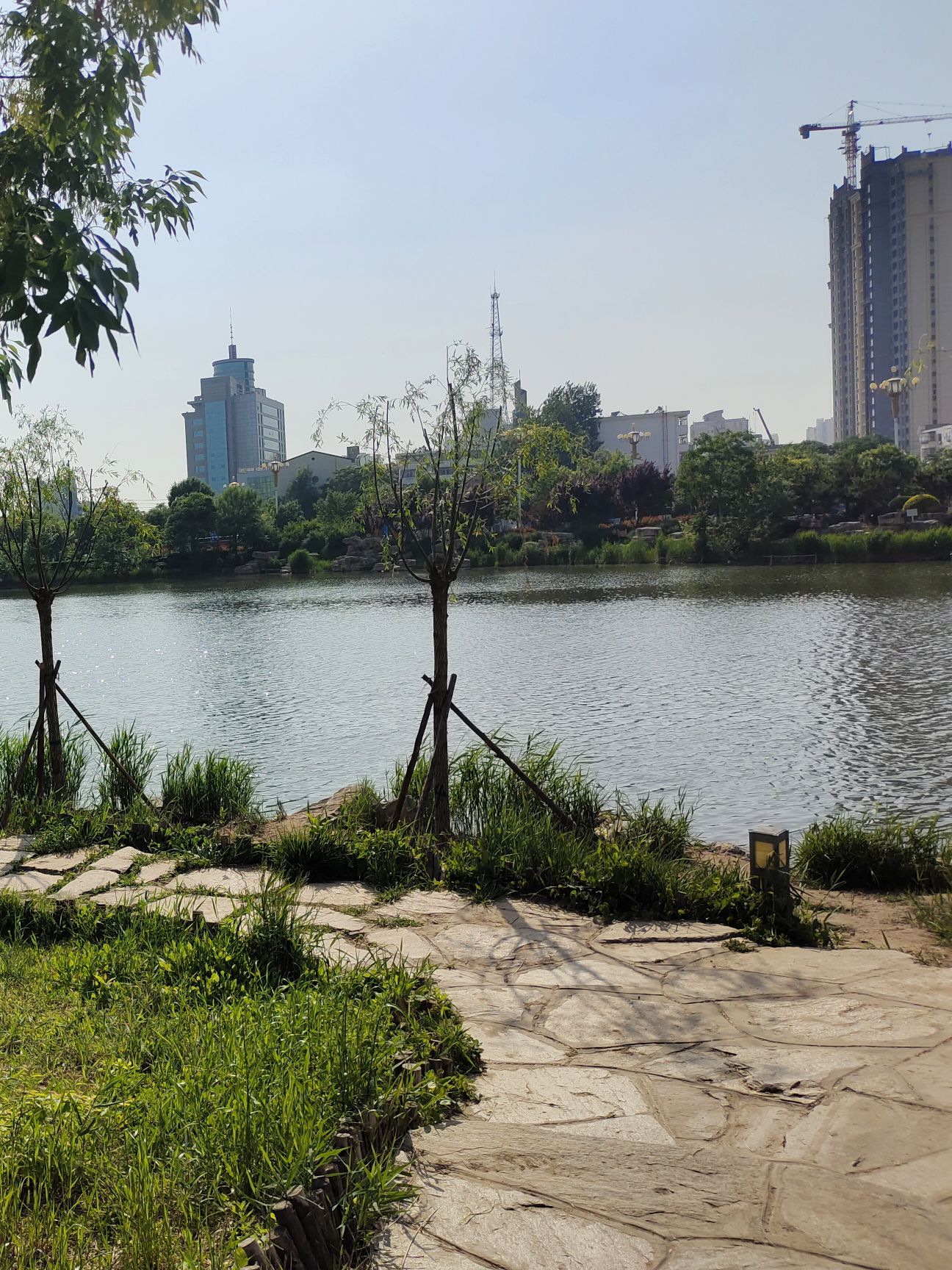 人民公园旅行图片 2