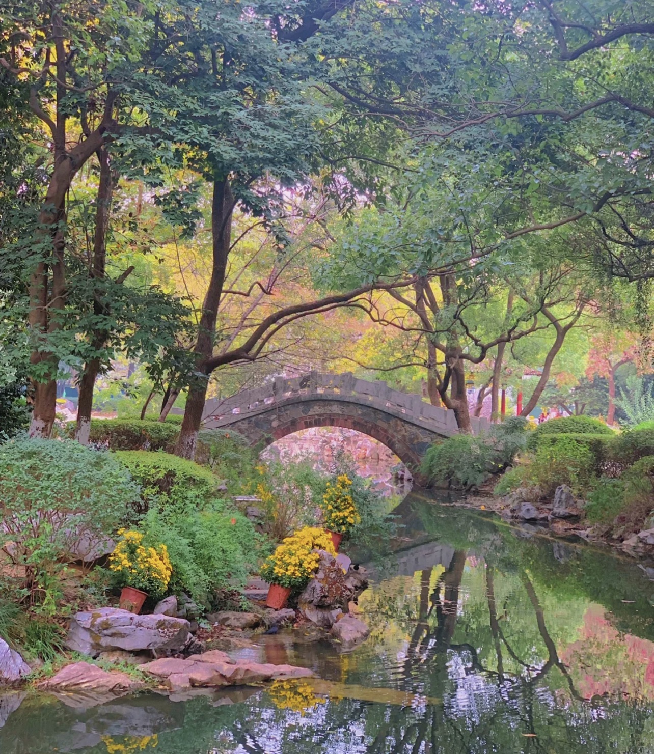 中华公园旅行图片 1