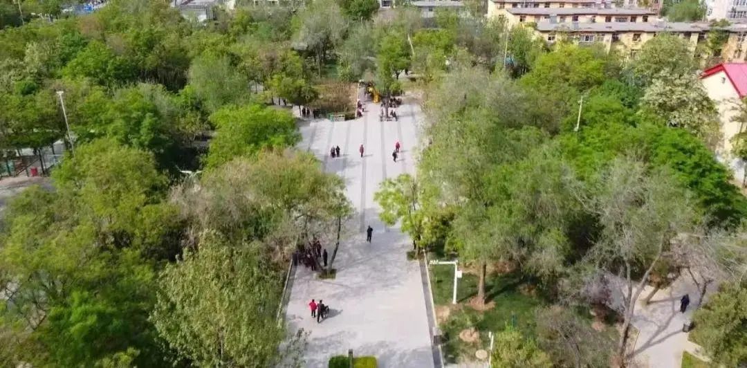 中华公园旅行图片 2