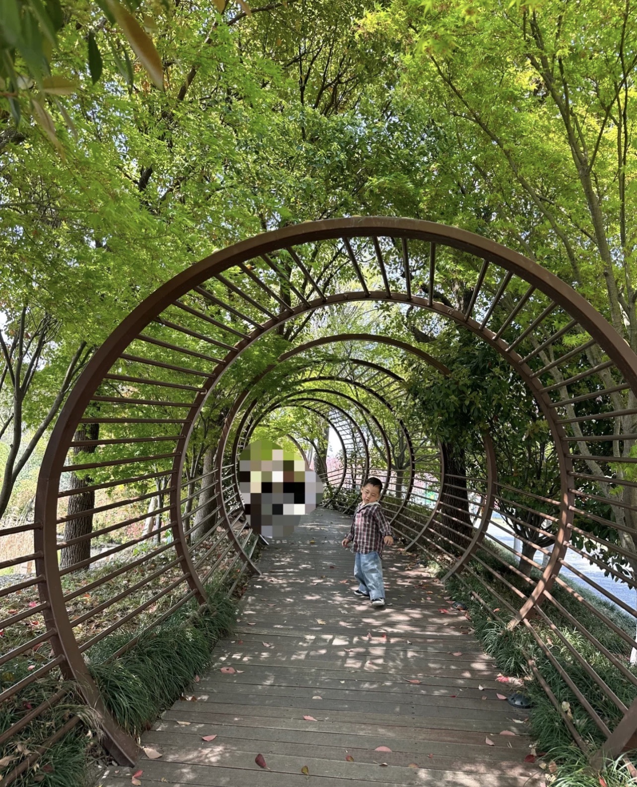 中华公园旅行图片 3