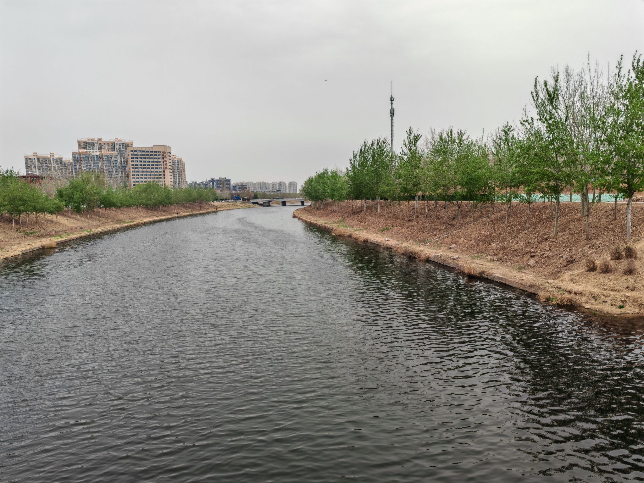 衡水安济桥旅行图片 2