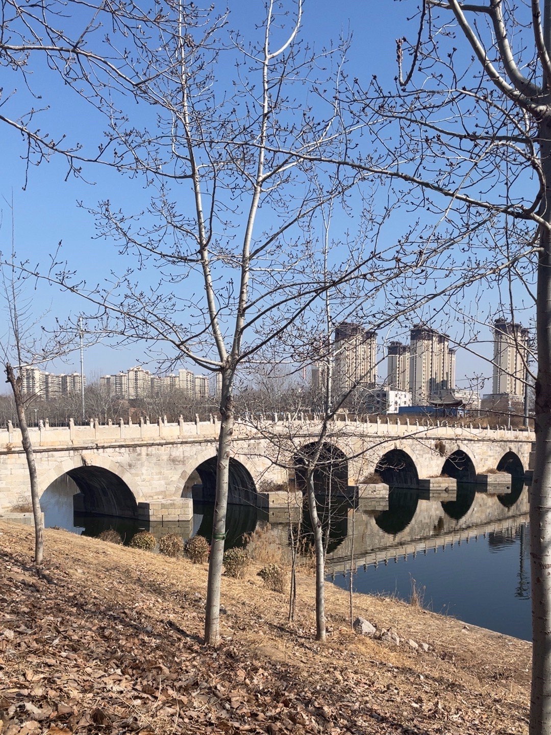 衡水安济桥旅行图片 1