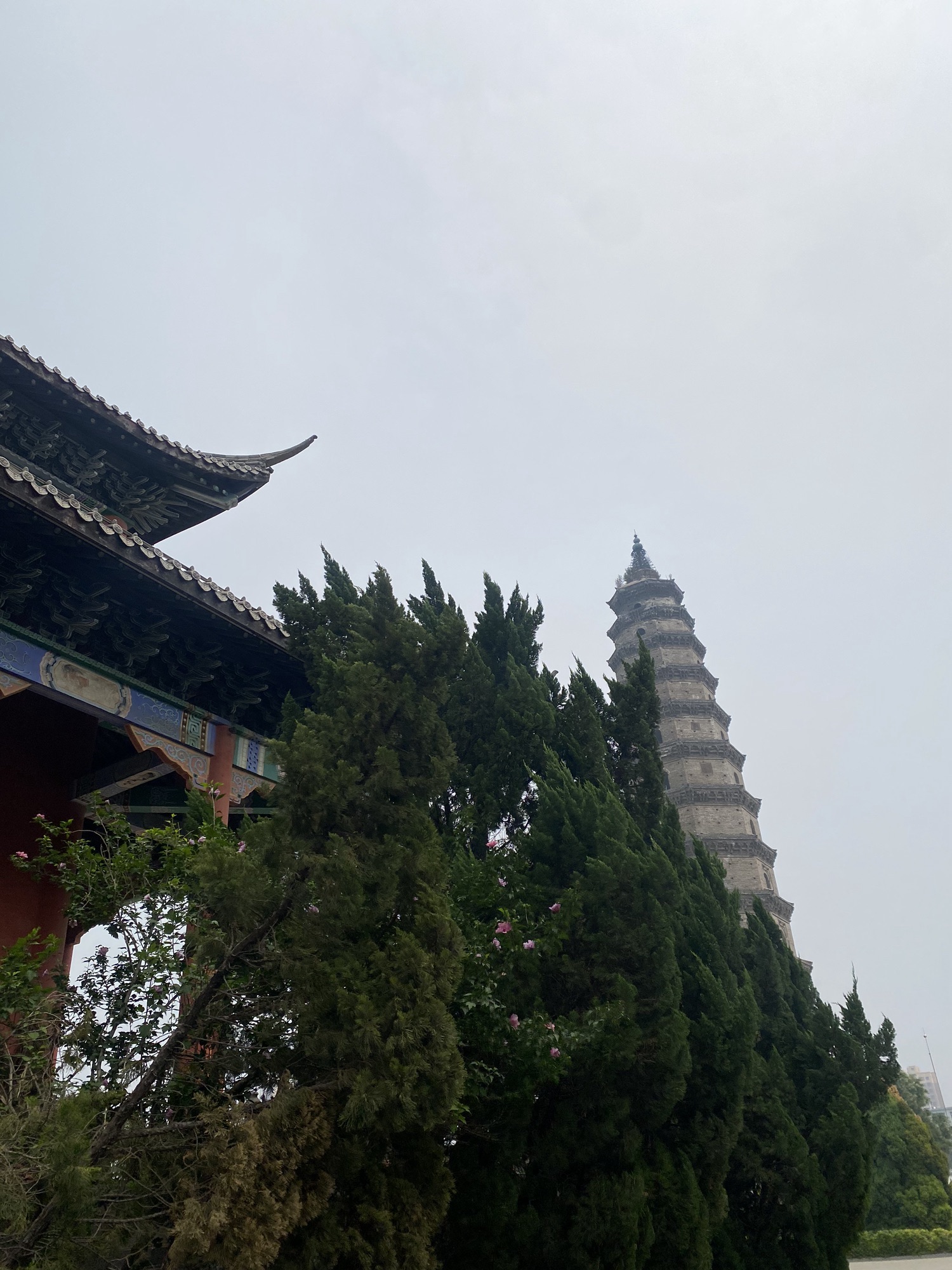 景州·舍利塔旅行图片 3