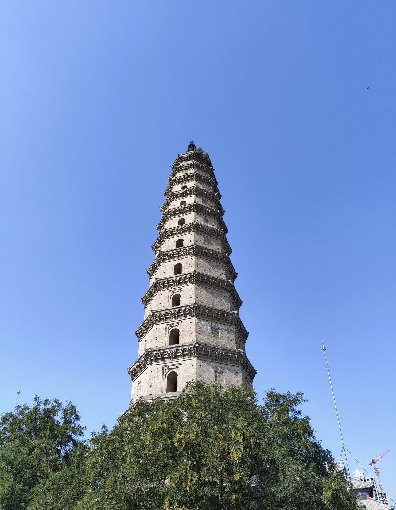 景州·舍利塔旅行图片 2