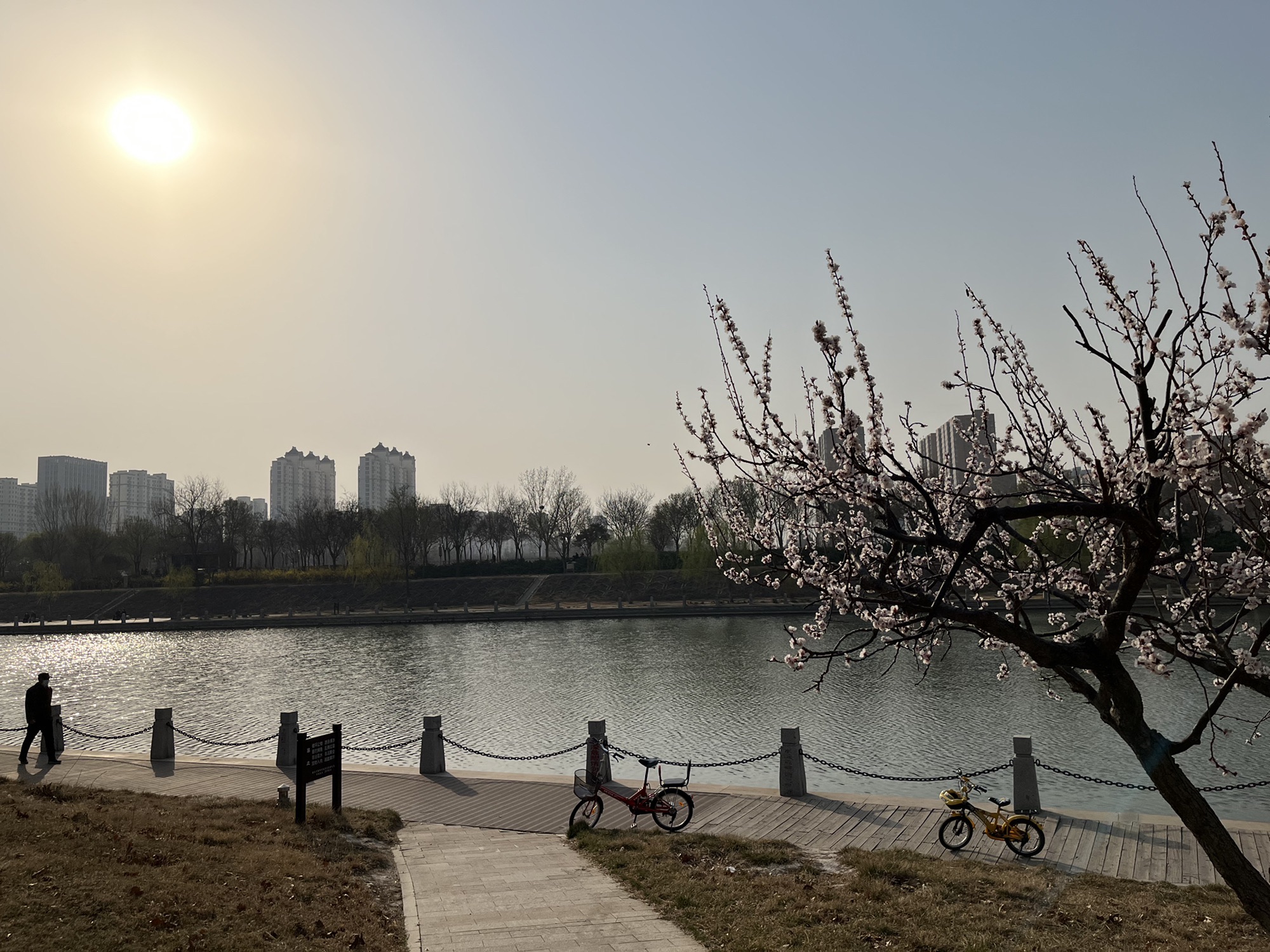 萧何文化广场旅行图片 1