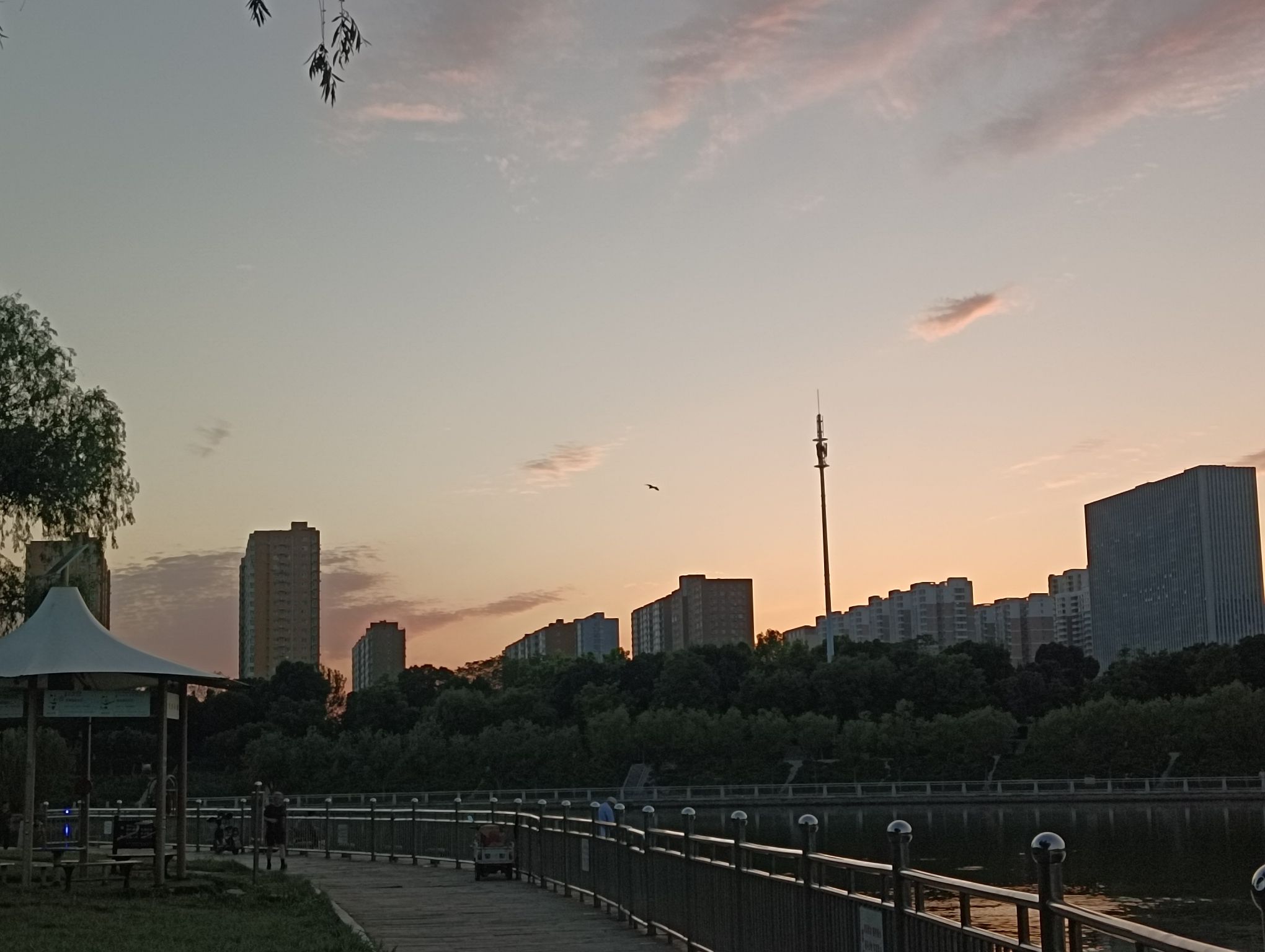 萧何文化广场旅行图片 2