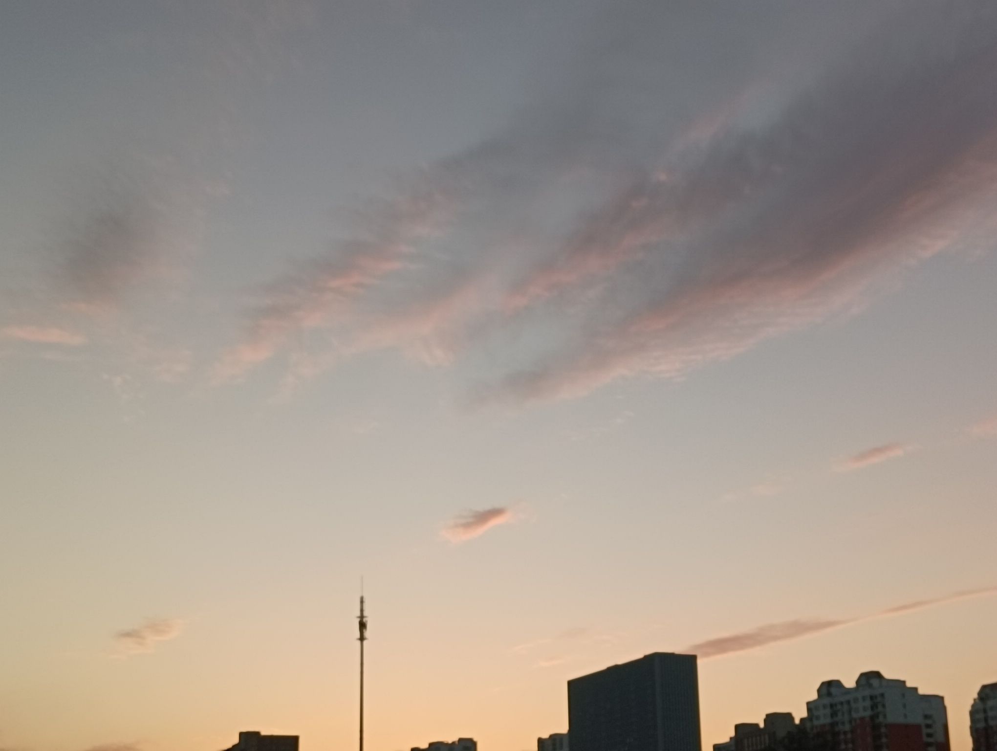 萧何文化广场旅行图片 3