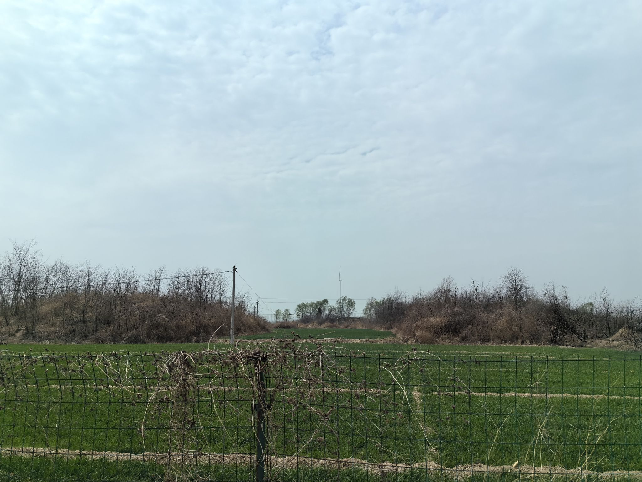 封氏墓群旅行图片 3