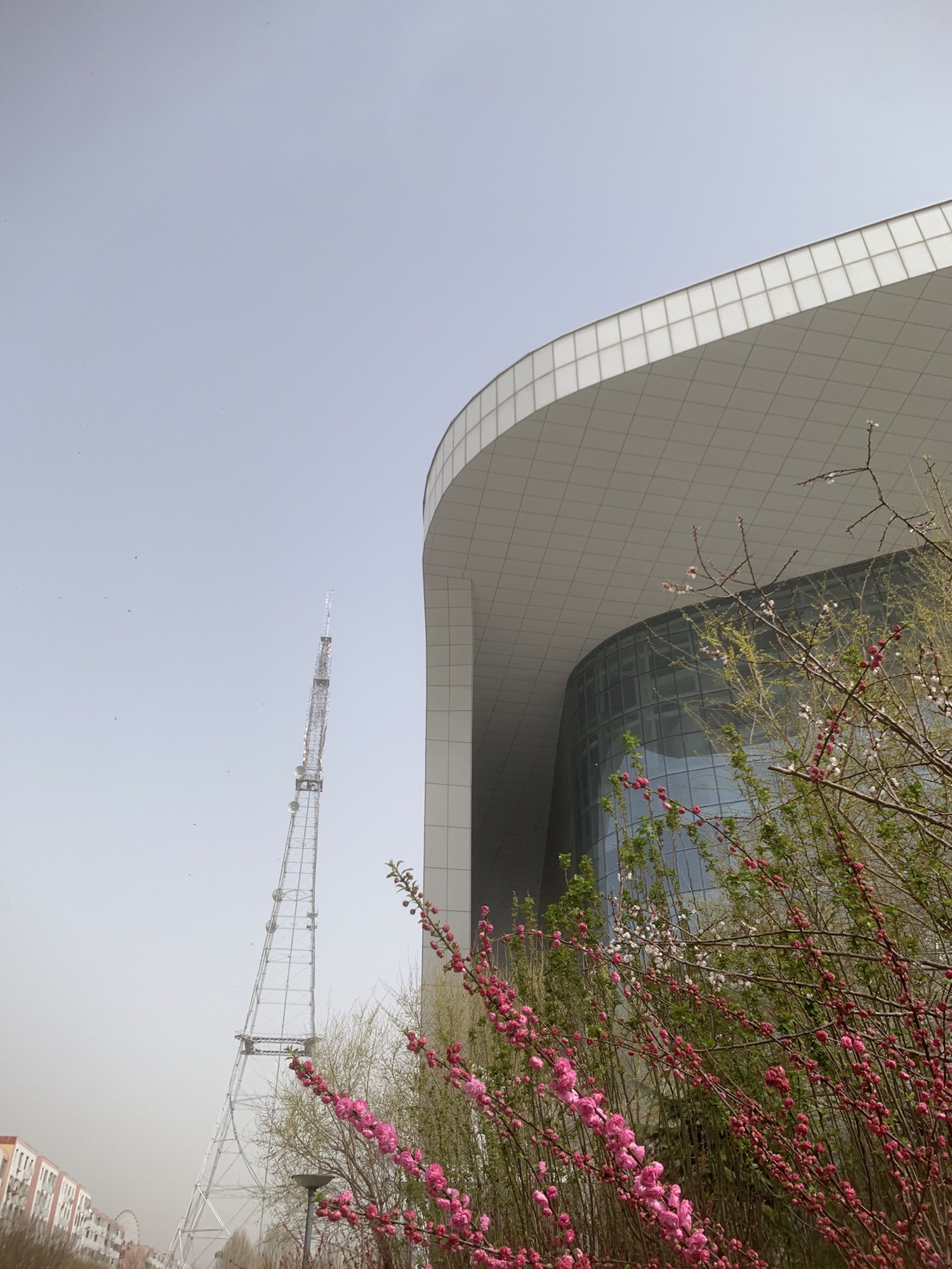 滏阳生态文化公园旅行图片 2