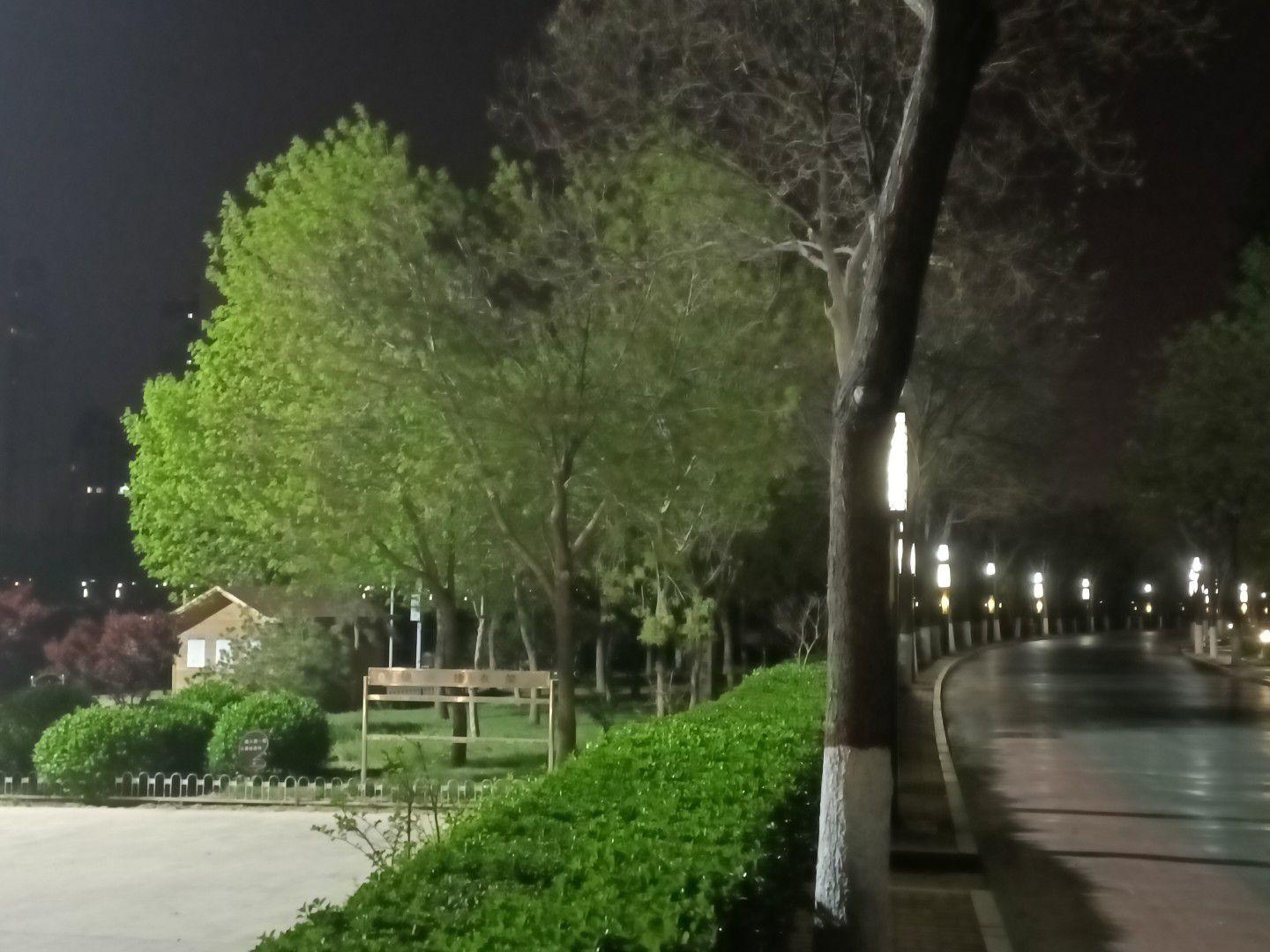 滏阳生态文化公园旅行图片 1
