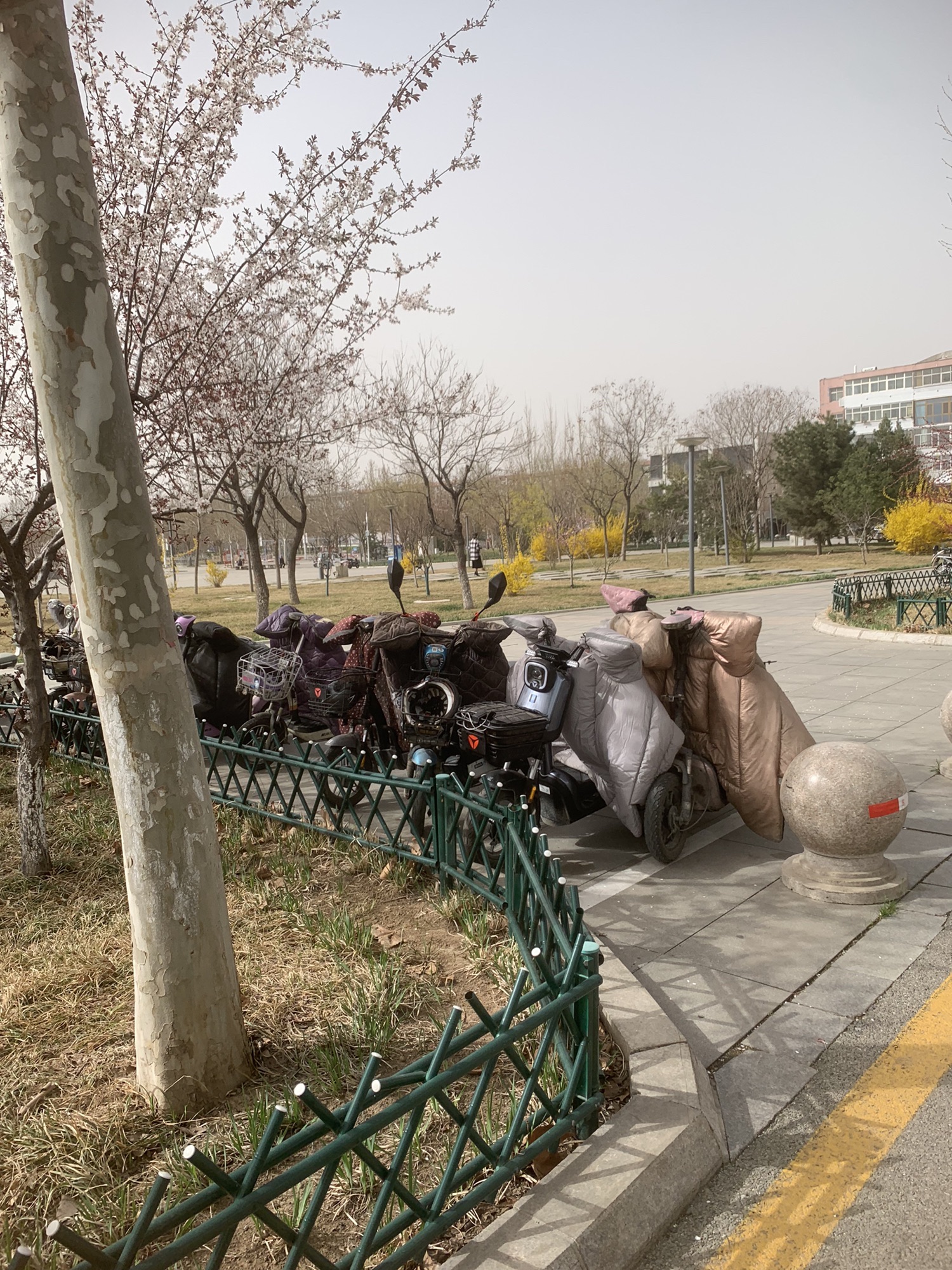 滏阳生态文化公园旅行图片 3