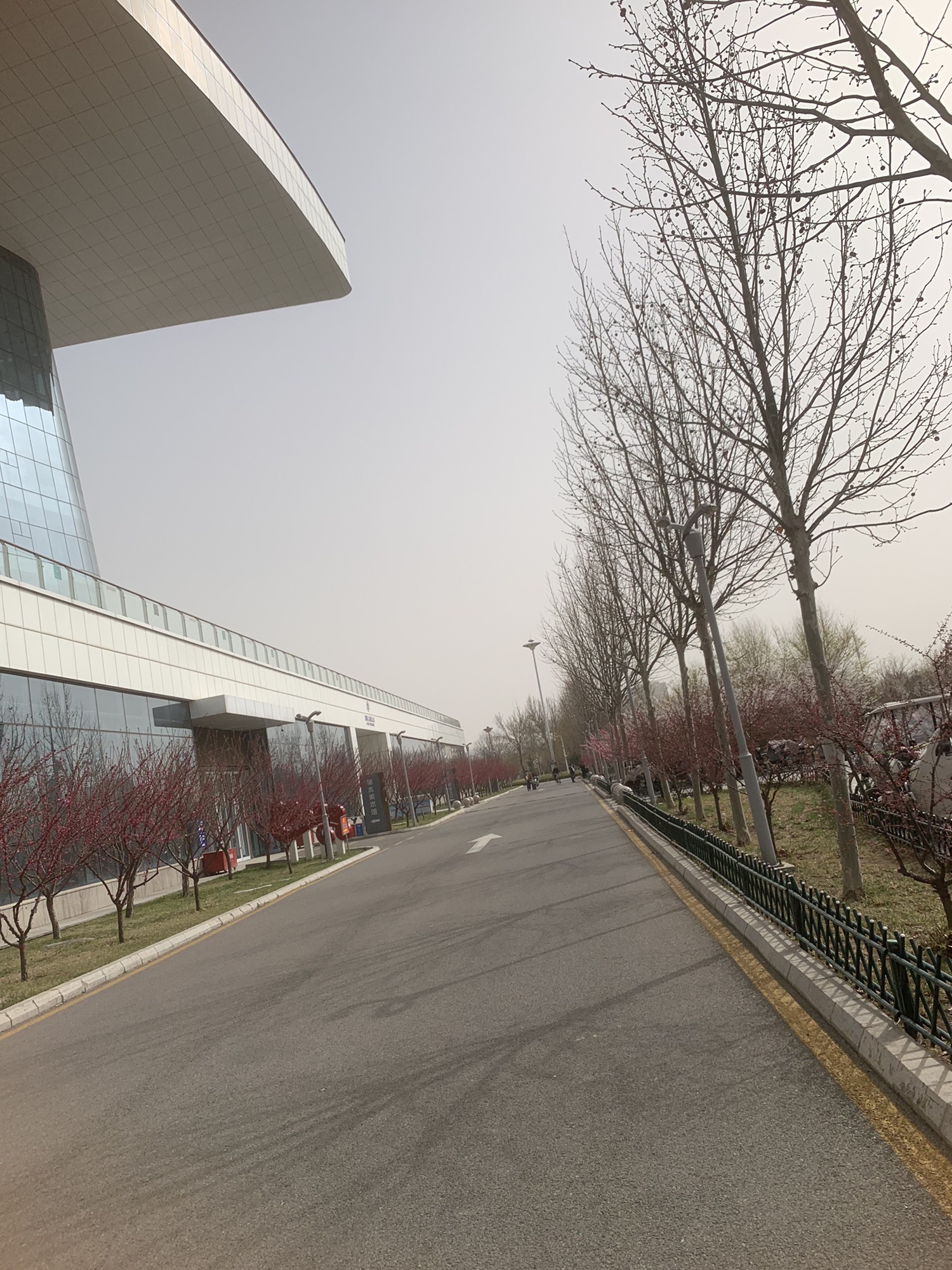滏阳生态文化公园旅行图片 2