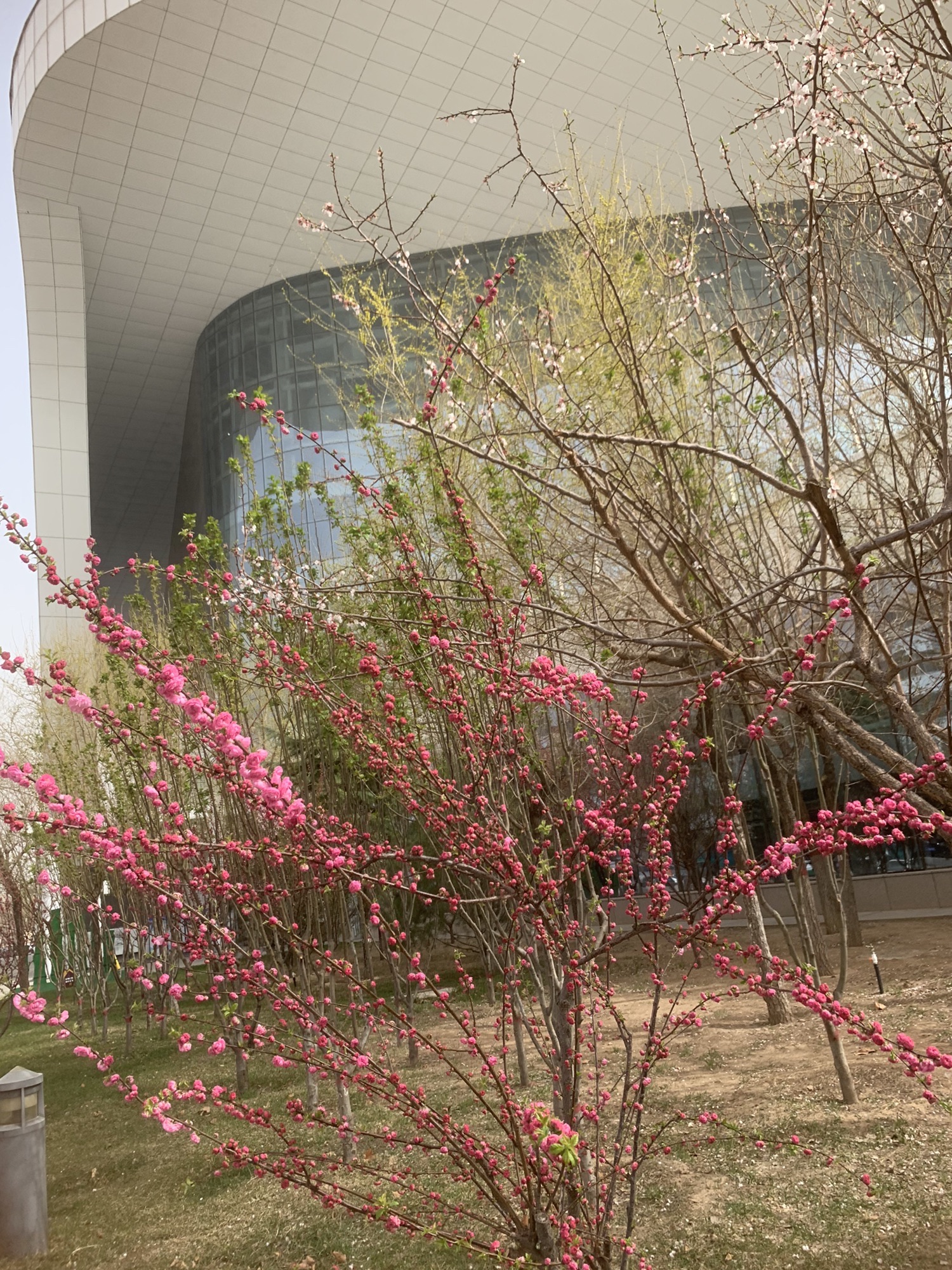 滏阳生态文化公园旅行图片 1