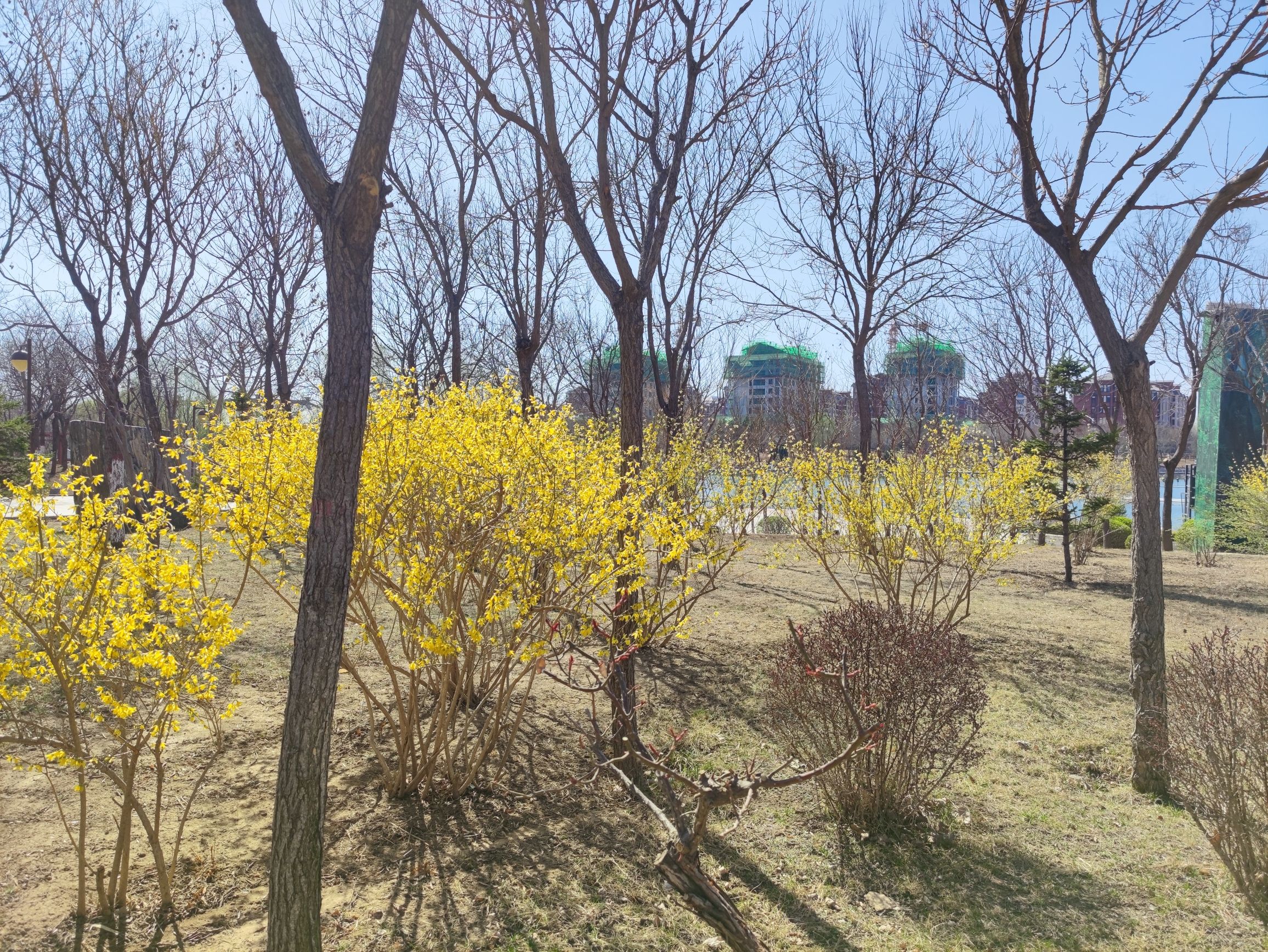汉王公园旅行图片 2