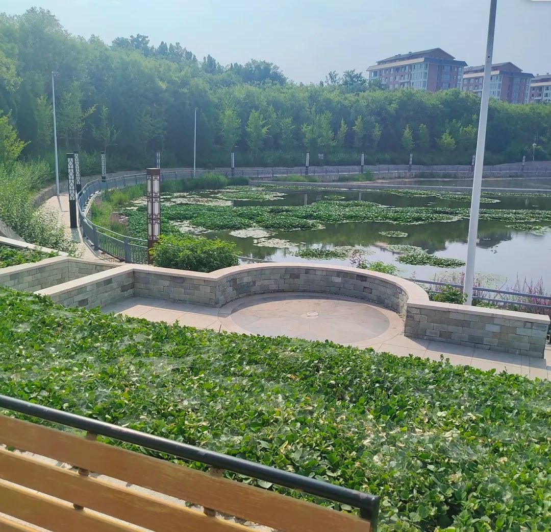 汉王公园旅行图片 3