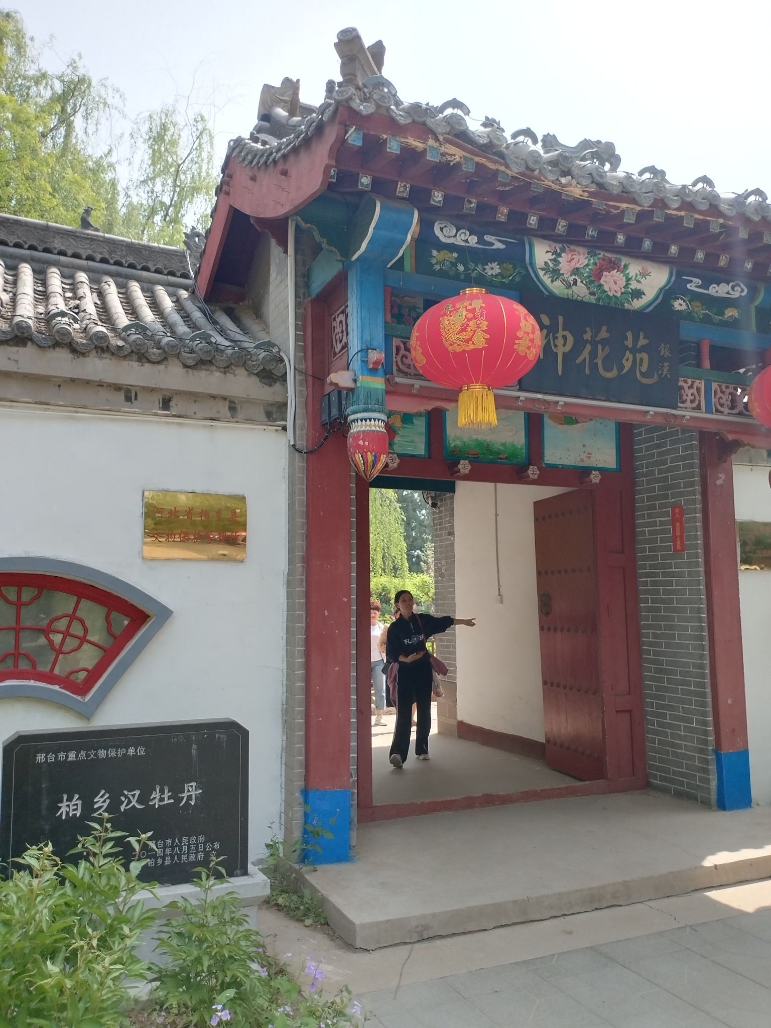 汉牡丹园旅行图片 2