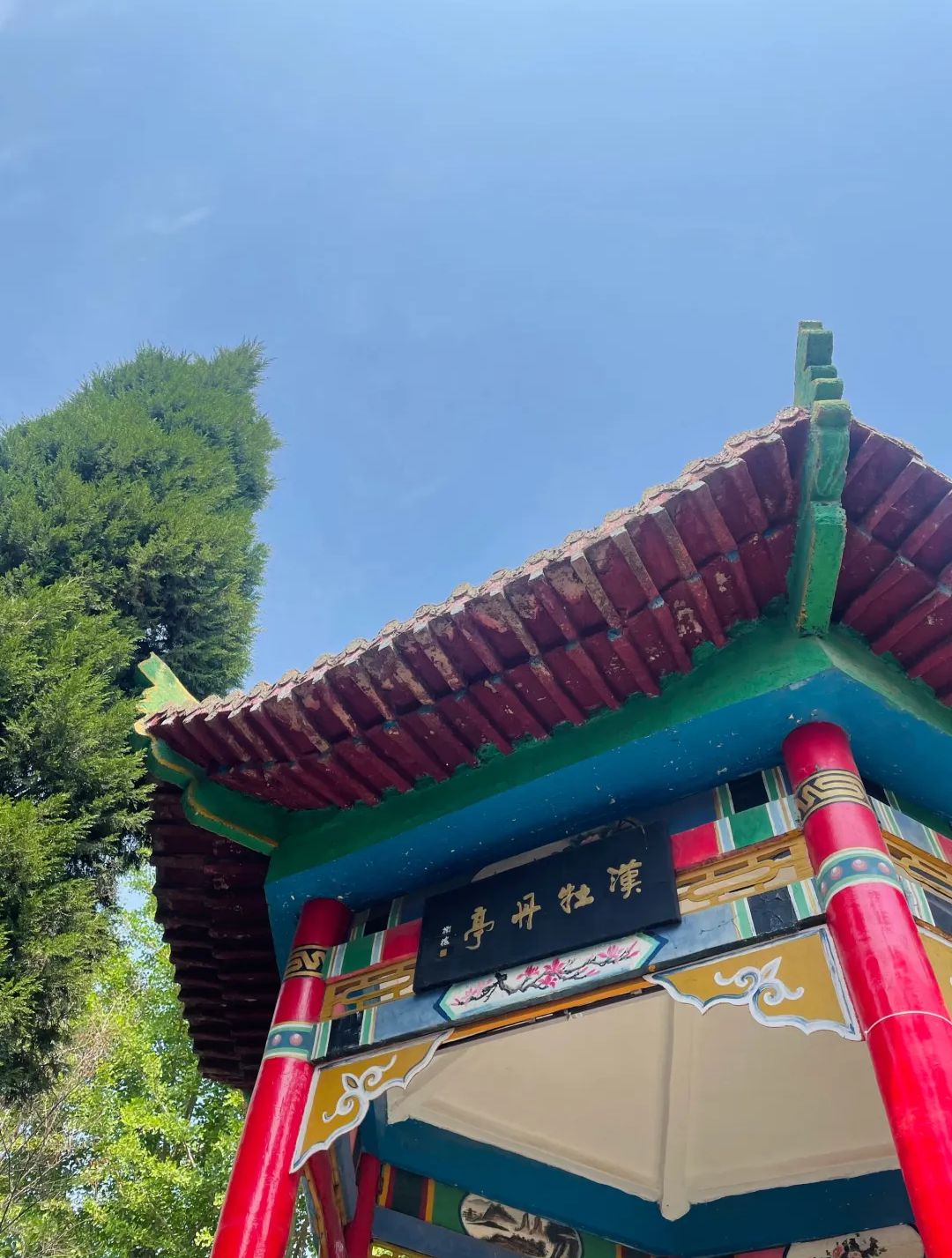 汉牡丹园旅行图片 2