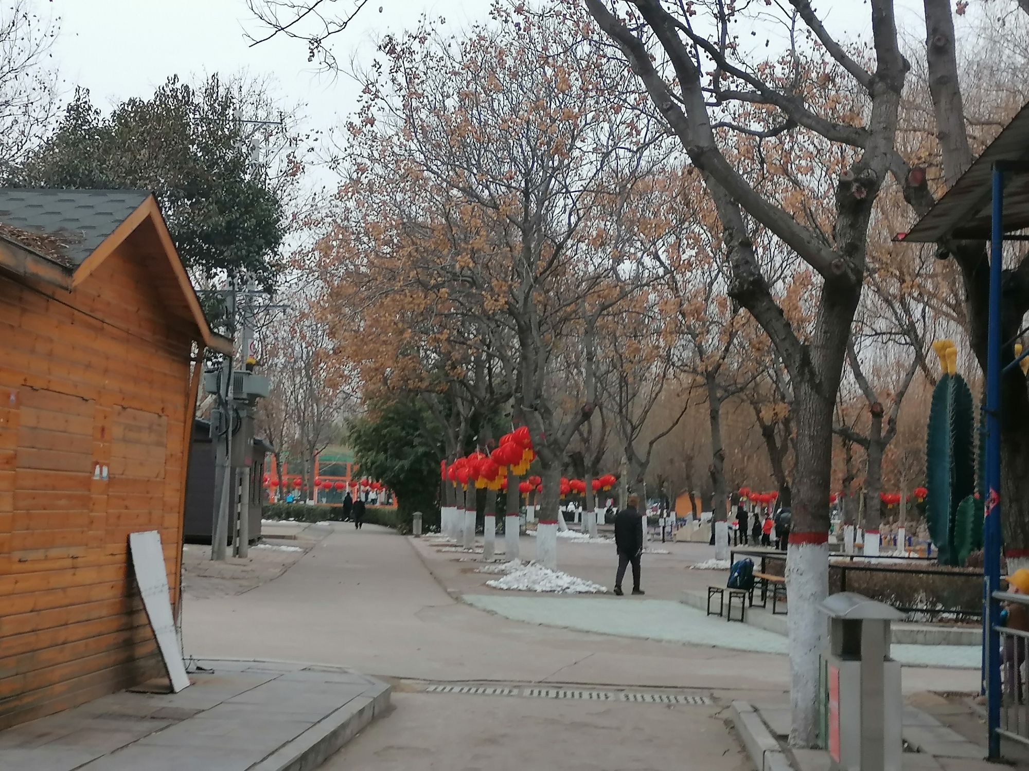紫金公园旅行图片 2