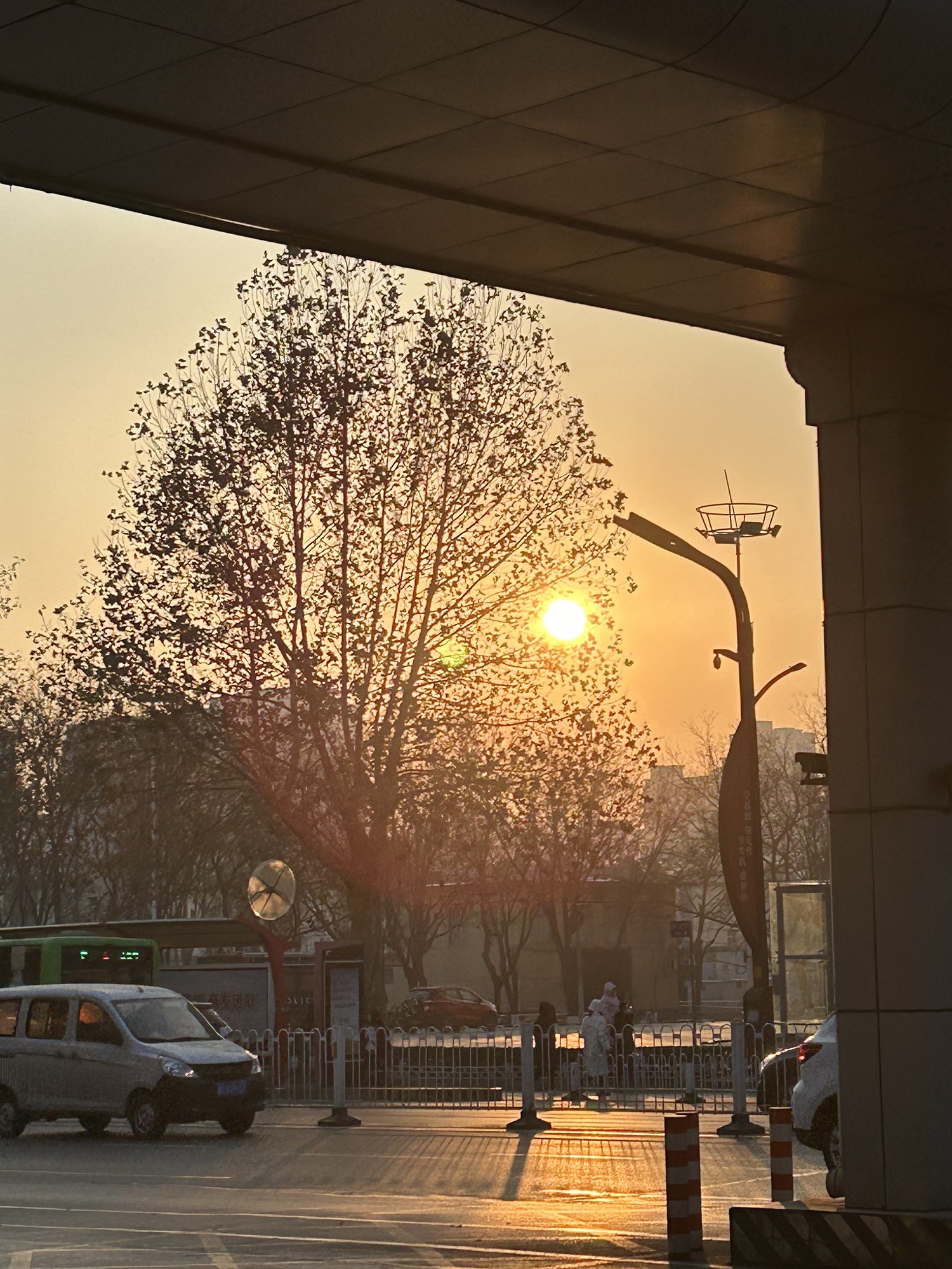 紫金公园旅行图片 2