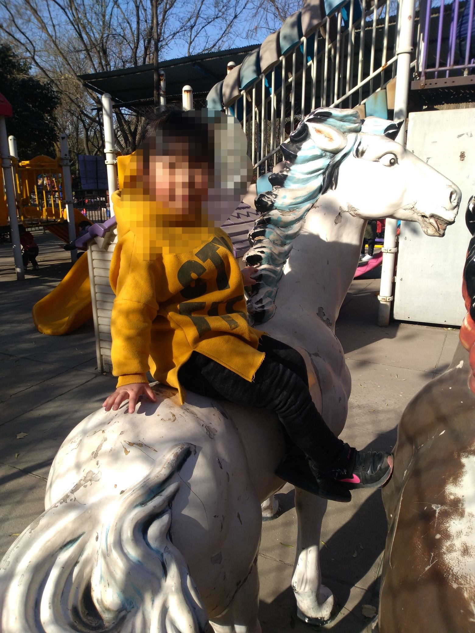 紫金公园旅行图片 3